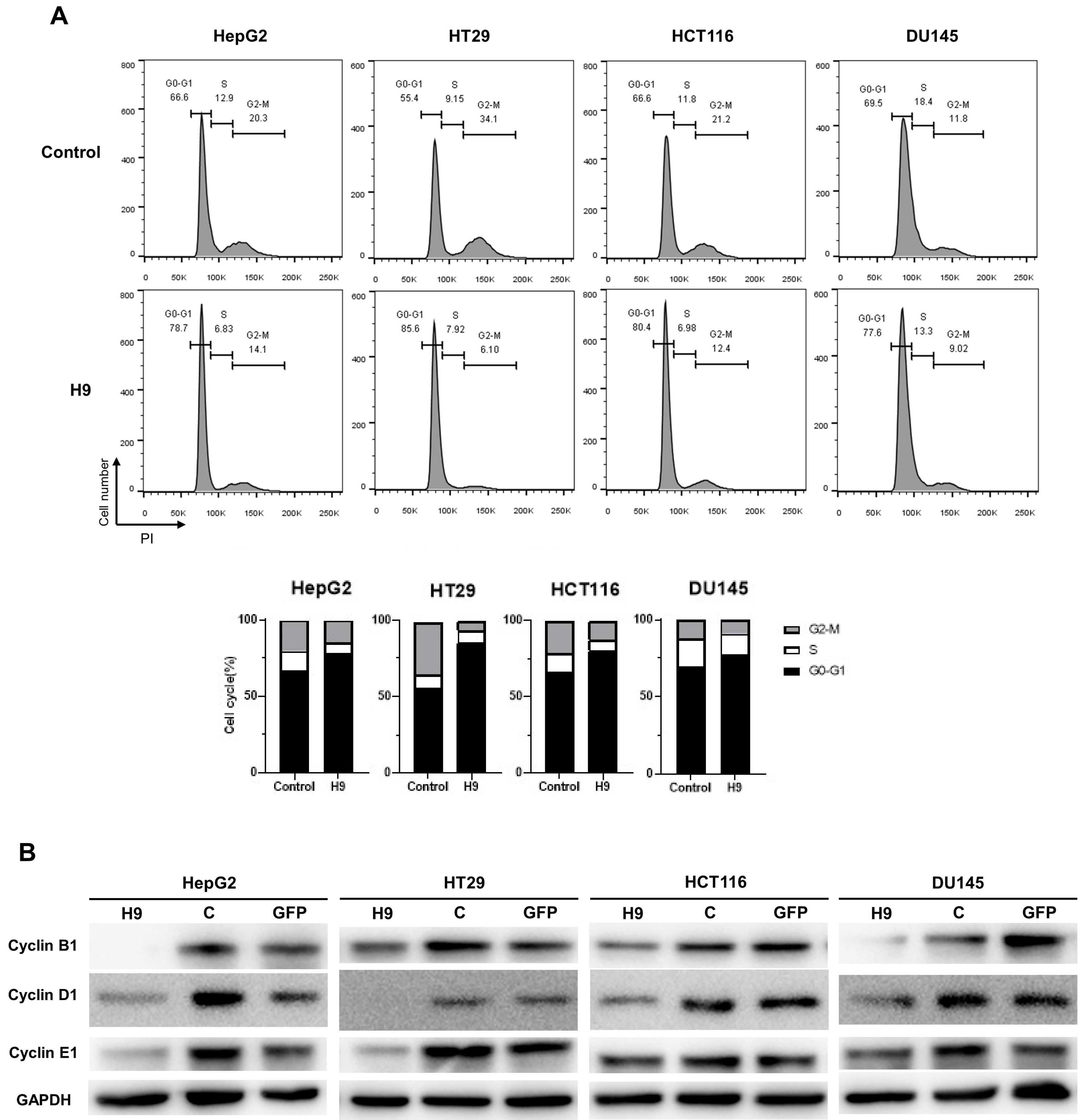 Pharmaceuticals 17 01303 g003