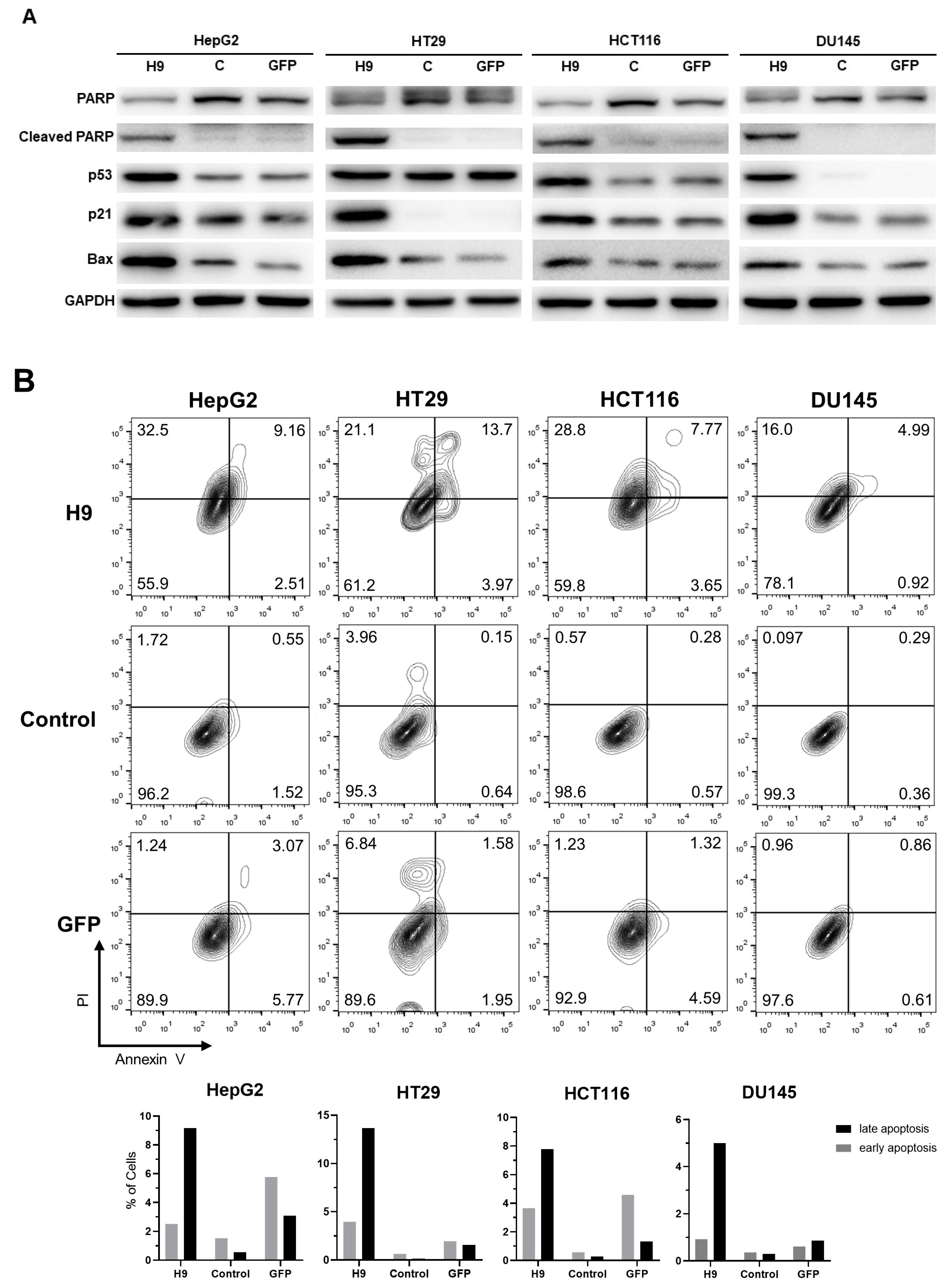 Pharmaceuticals 17 01303 g004