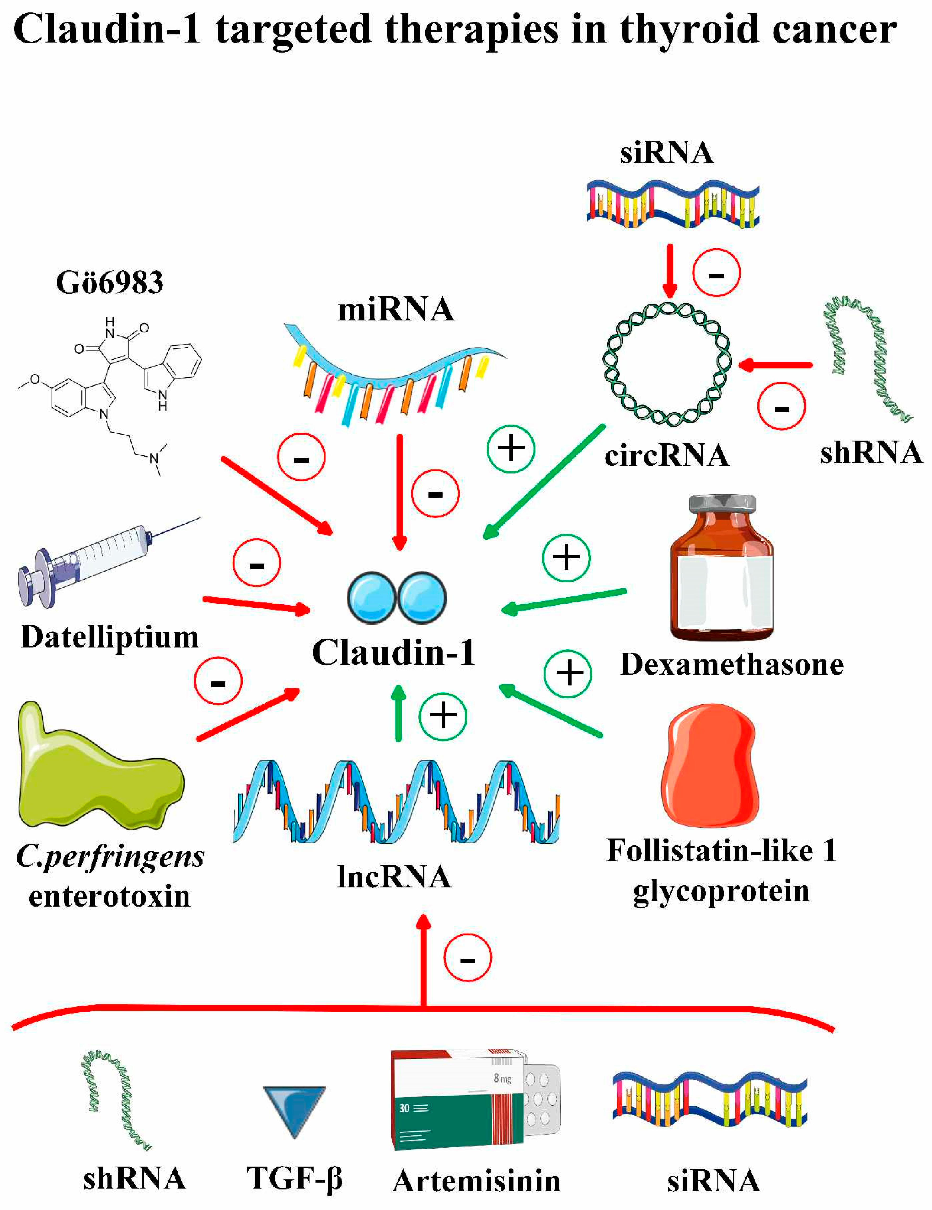 Pharmaceuticals 17 01304 g004 Pharmaceuticals 17 01304 g004