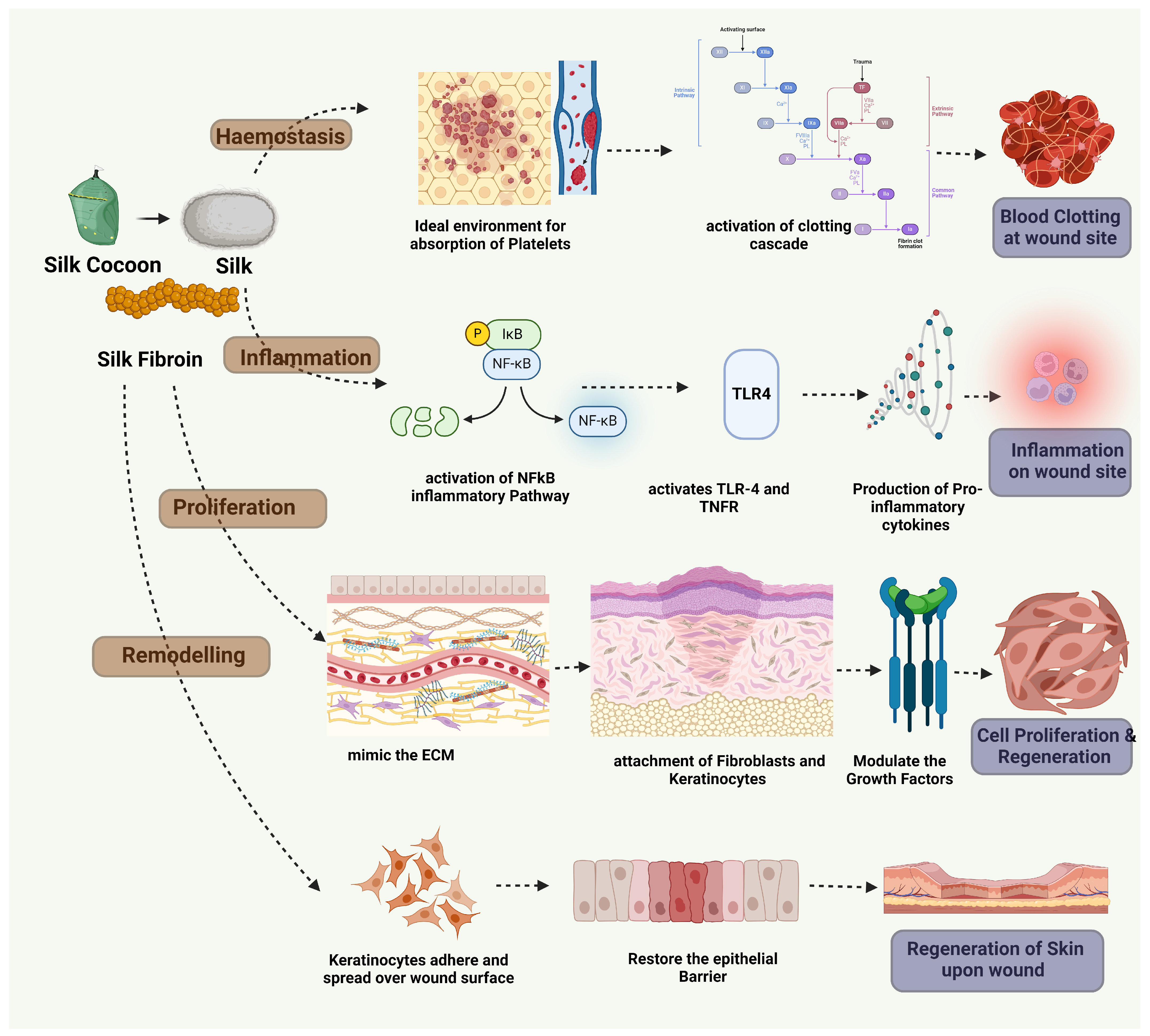 Pharmaceuticals 17 01305 g004
