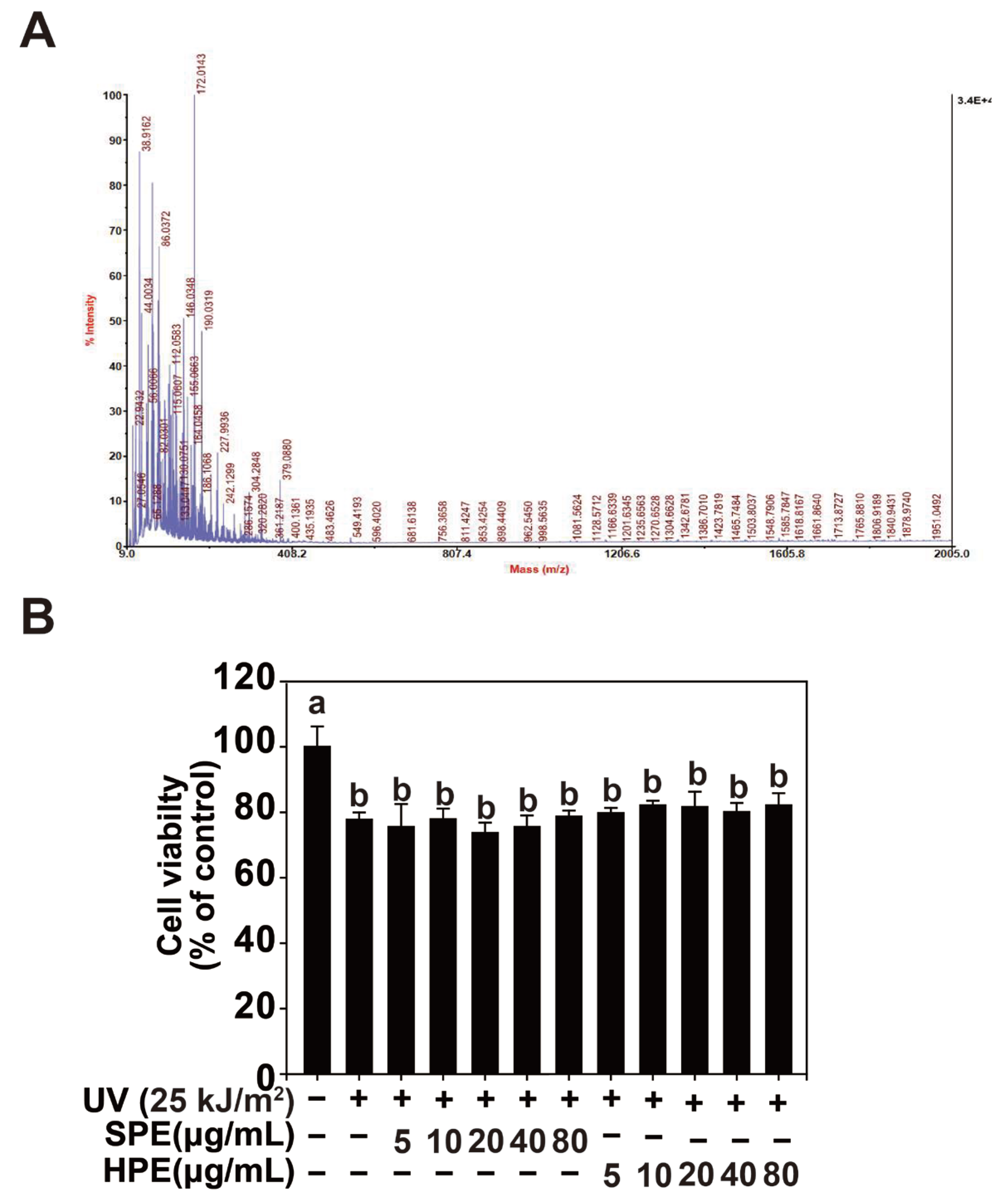 Pharmaceuticals 17 01306 g001