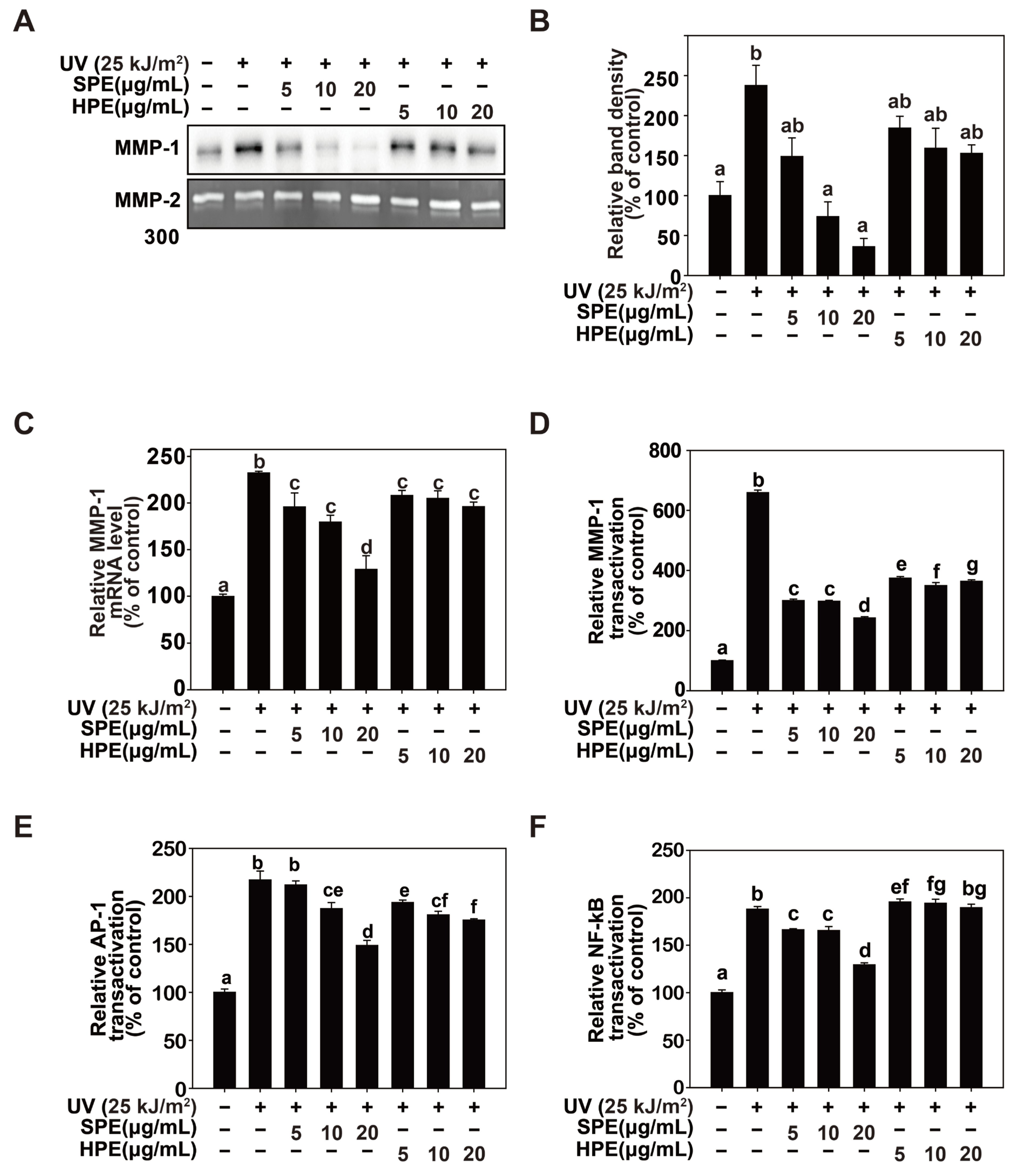 Pharmaceuticals 17 01306 g002