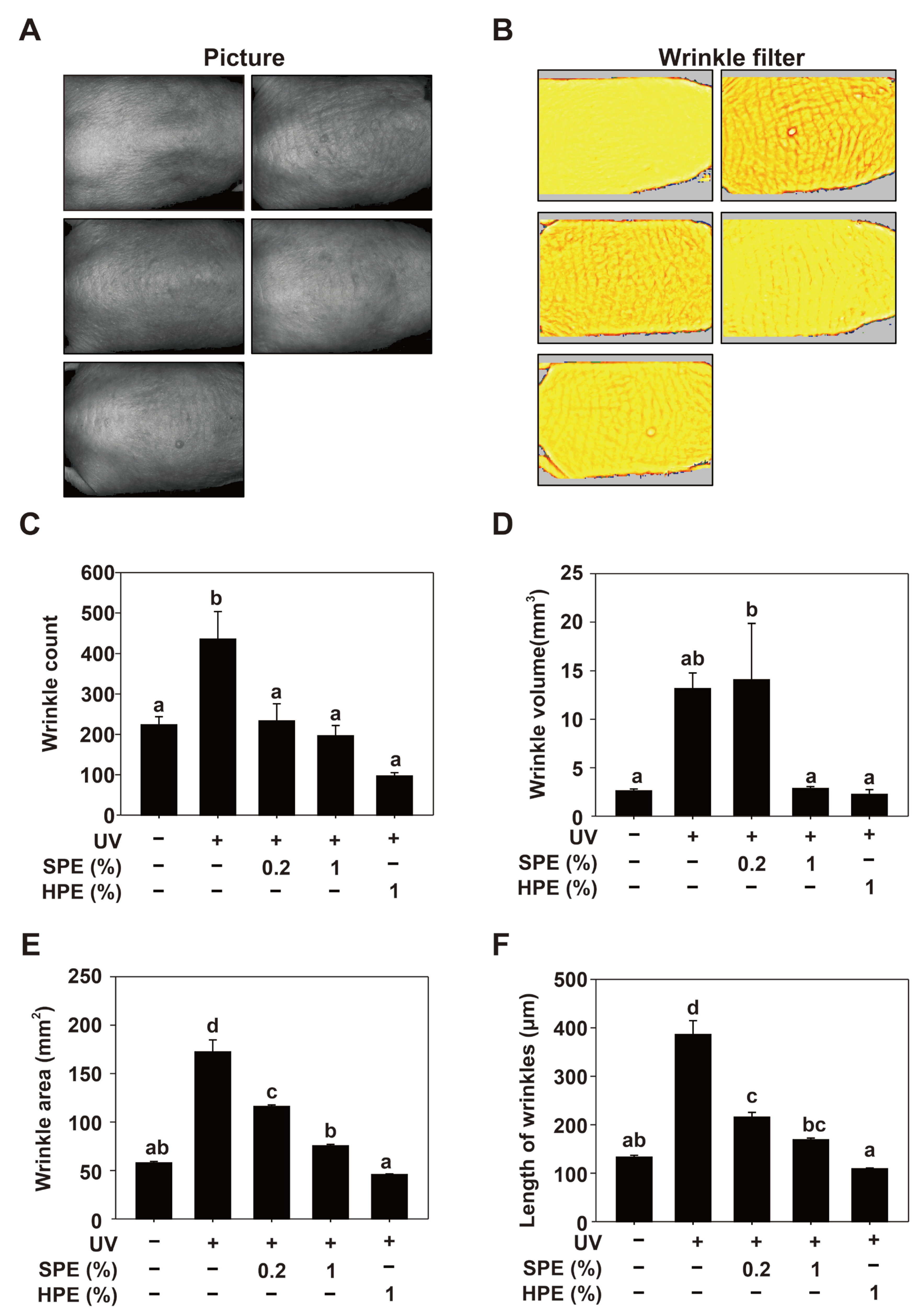 Pharmaceuticals 17 01306 g004