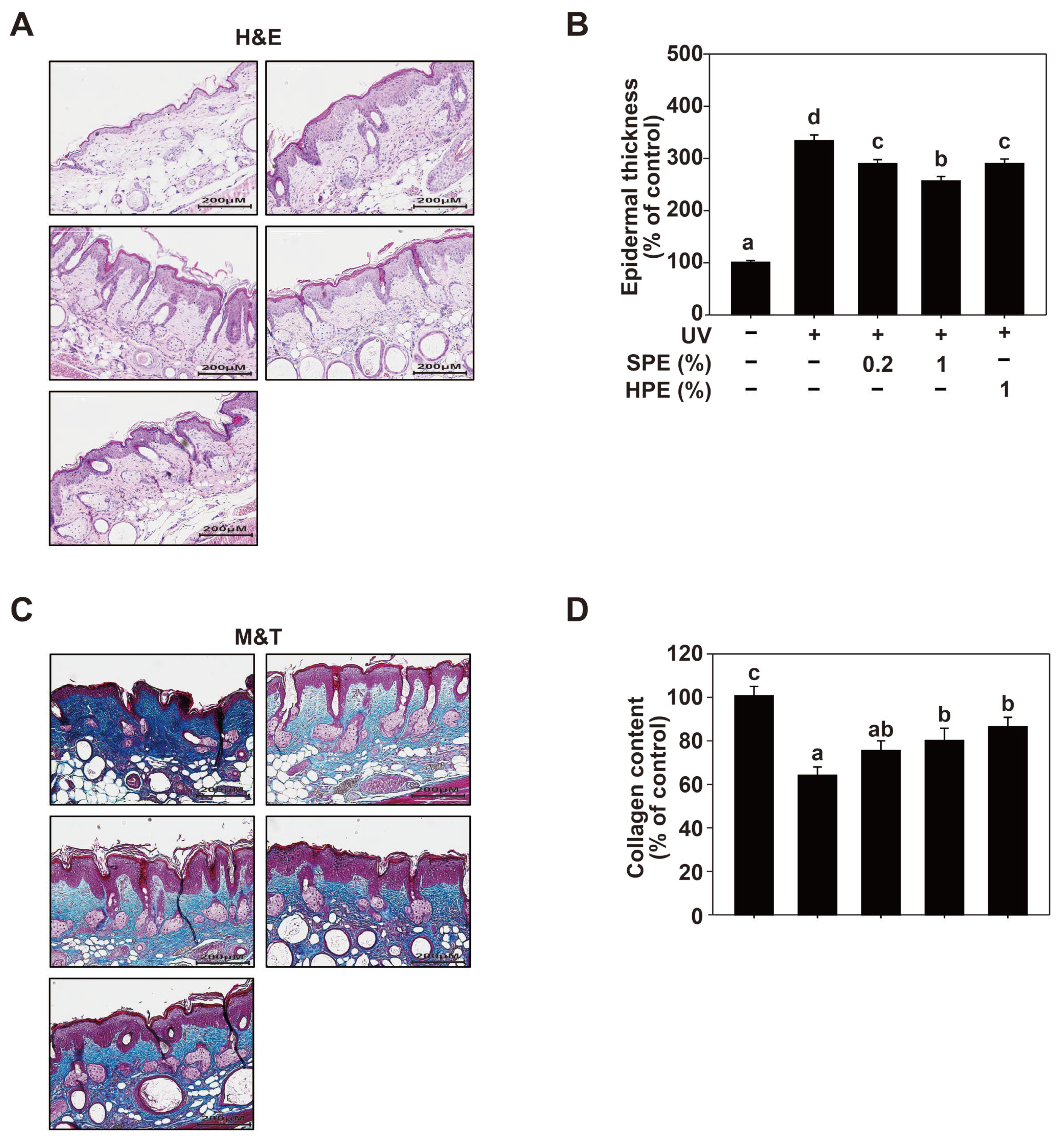 Pharmaceuticals 17 01306 g005