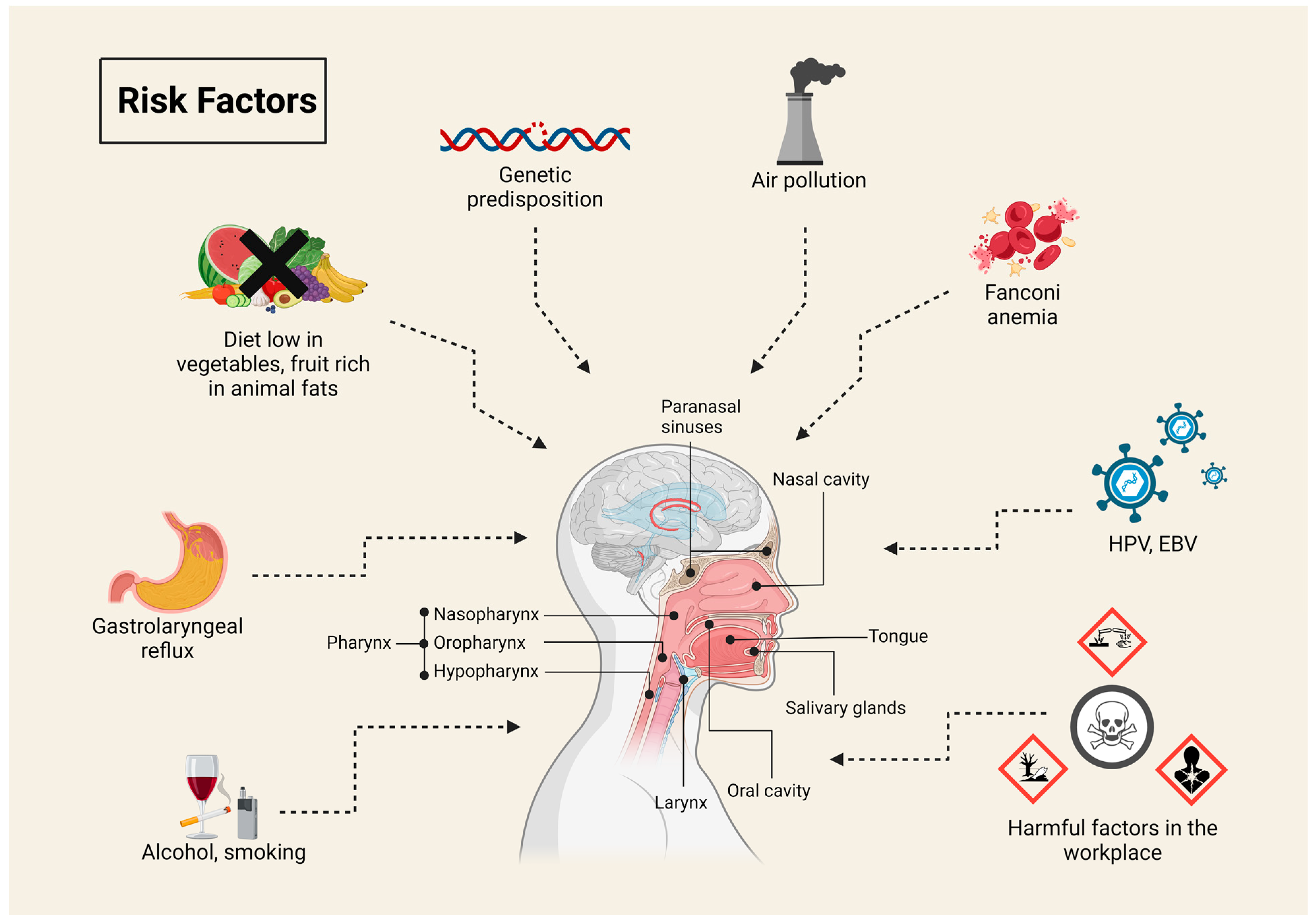 Pharmaceuticals 17 01308 g001
