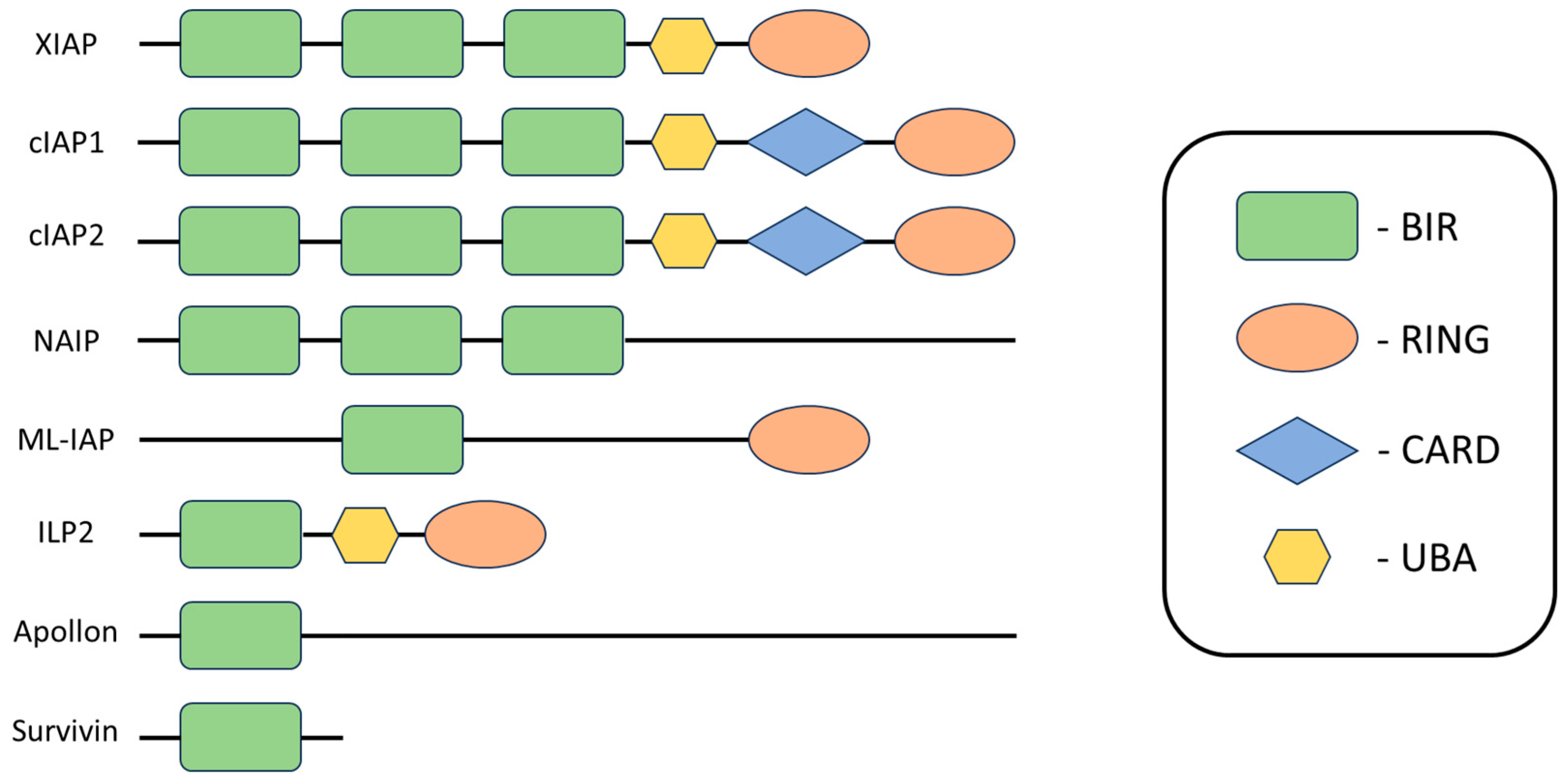 Pharmaceuticals 17 01308 g003