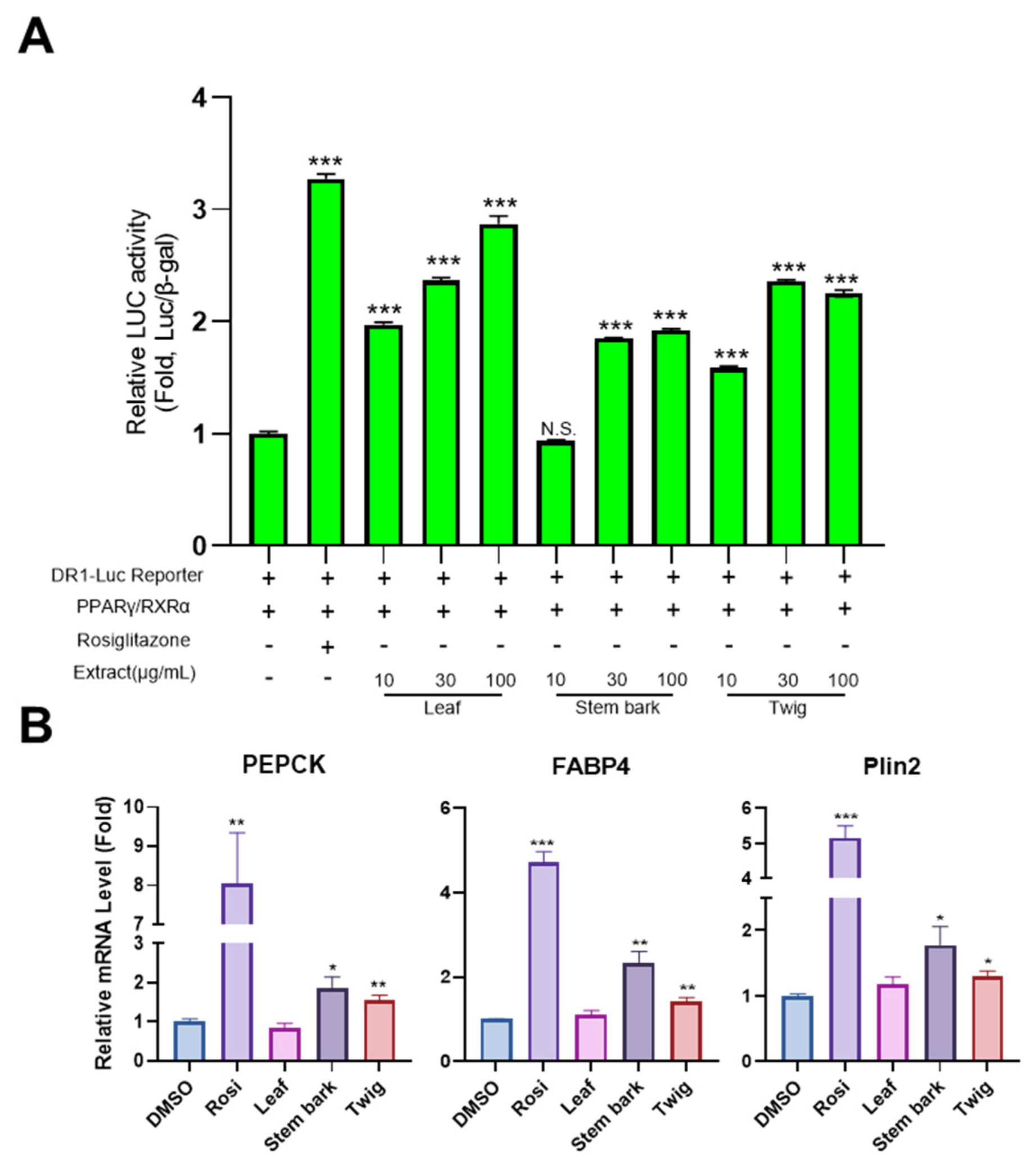 Pharmaceuticals 17 01310 g005