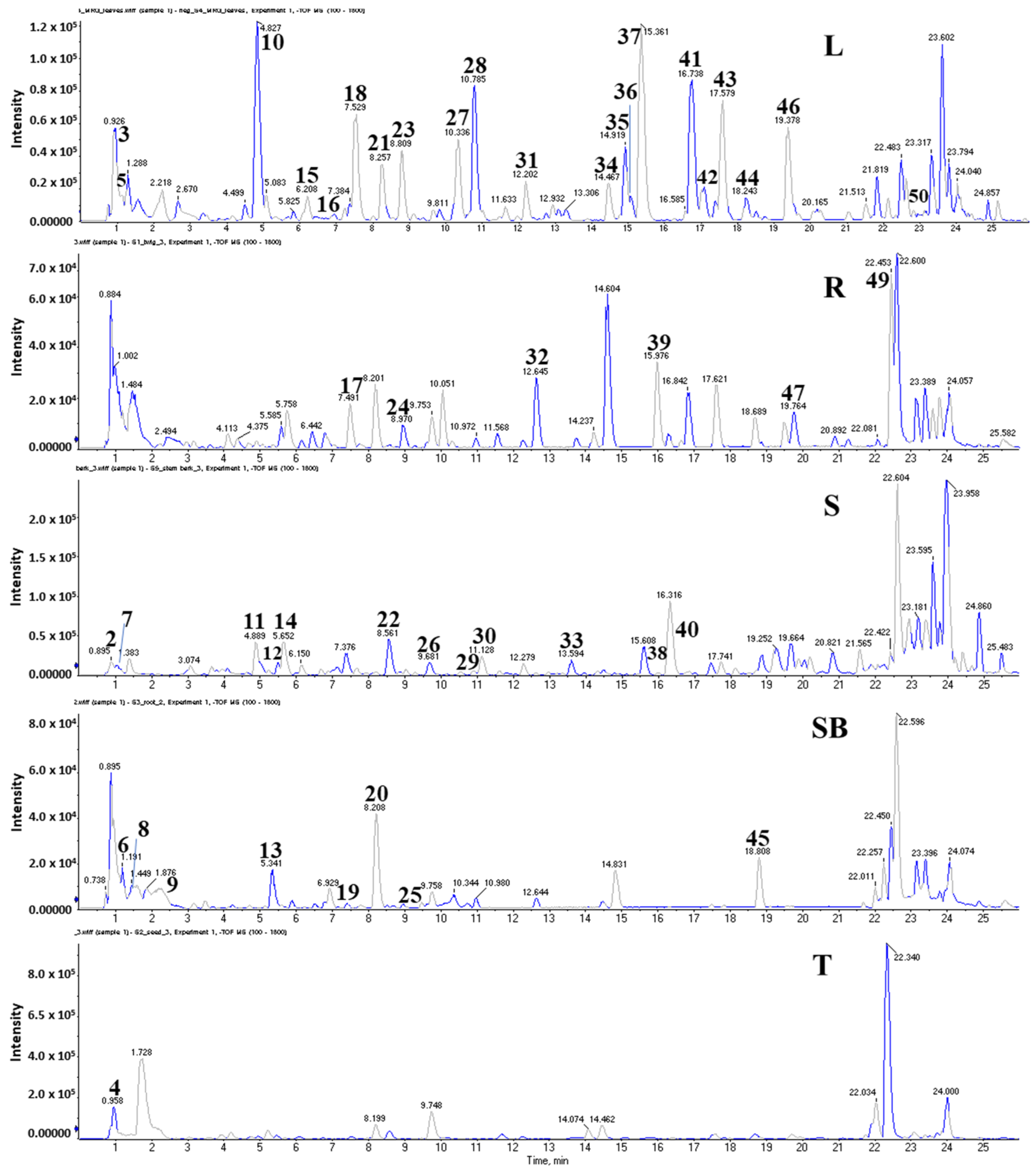 Pharmaceuticals 17 01310 g006