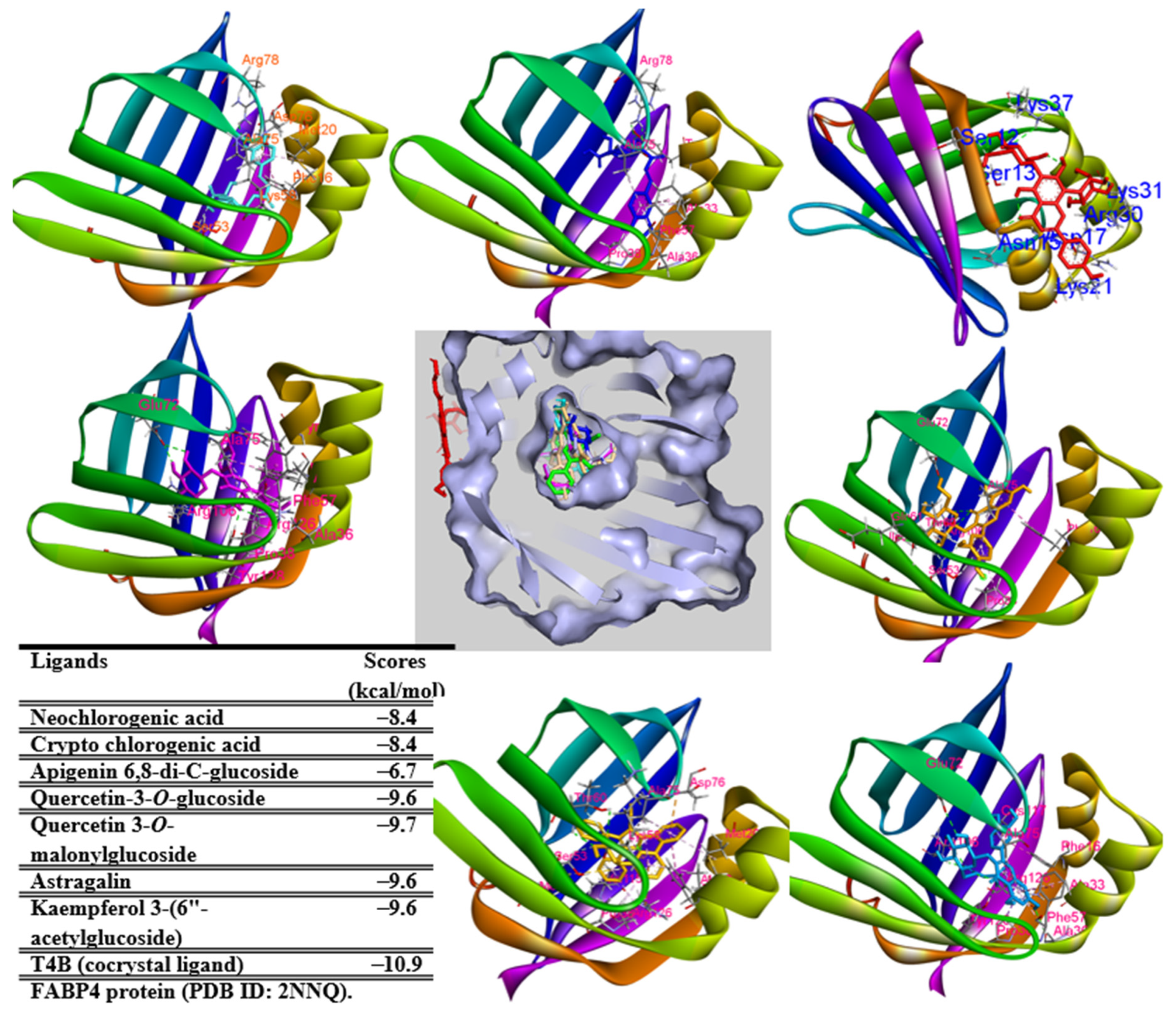 Pharmaceuticals 17 01310 g008