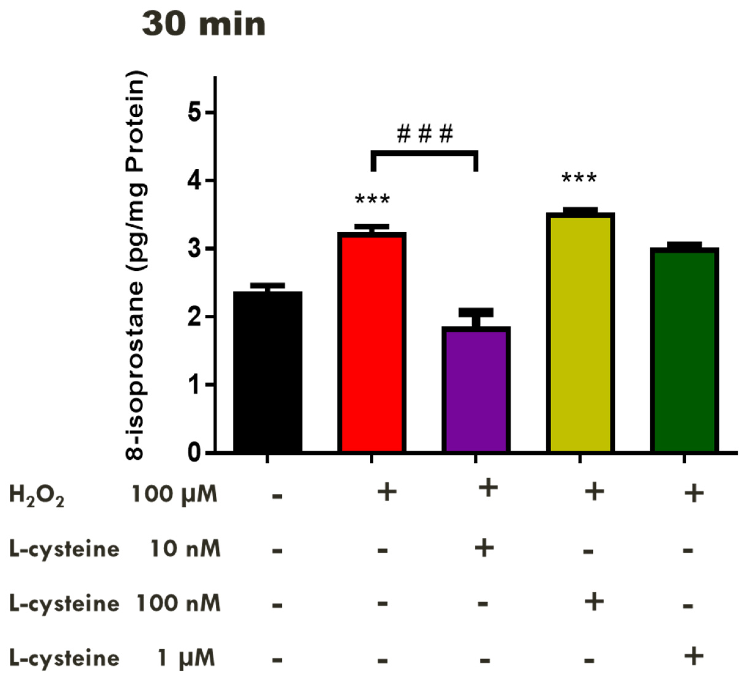 Pharmaceuticals 17 01311 g002