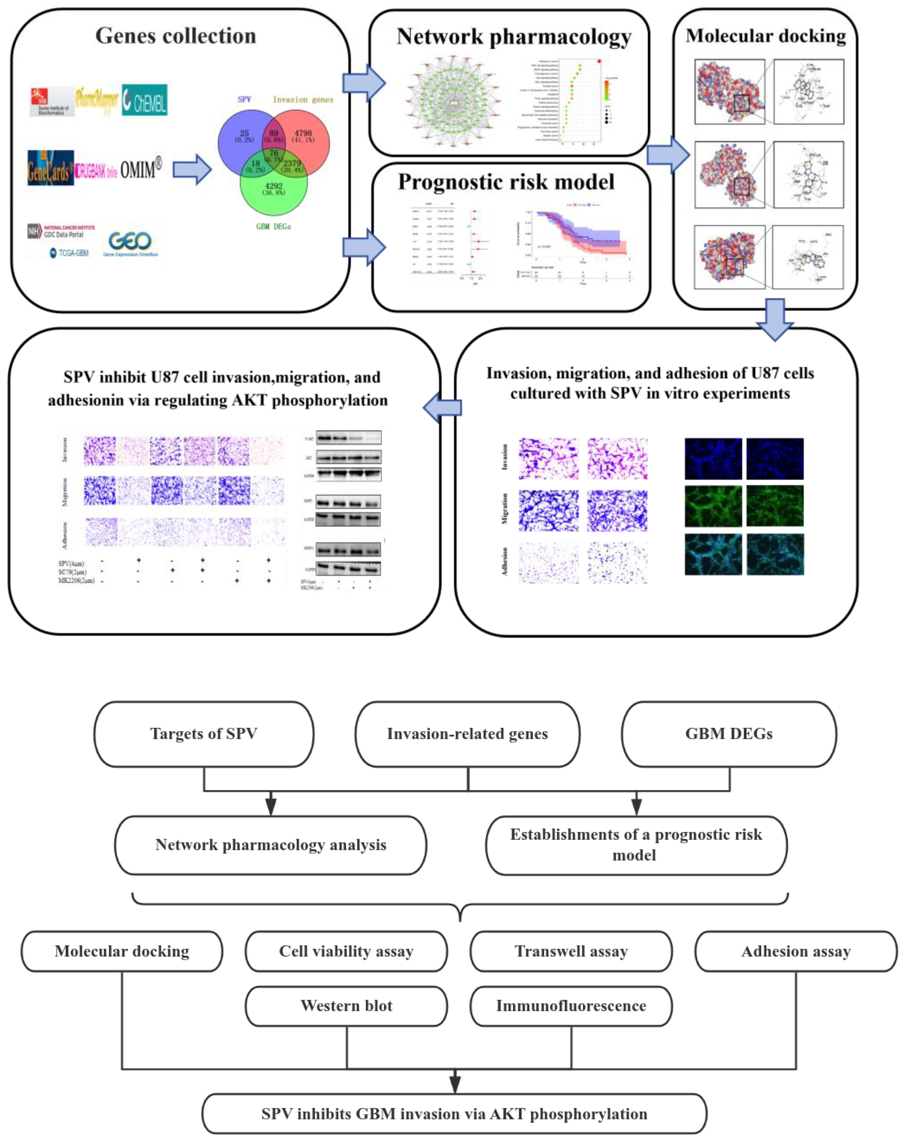 Pharmaceuticals 17 01318 g001 Pharmaceuticals 17 01318 g001