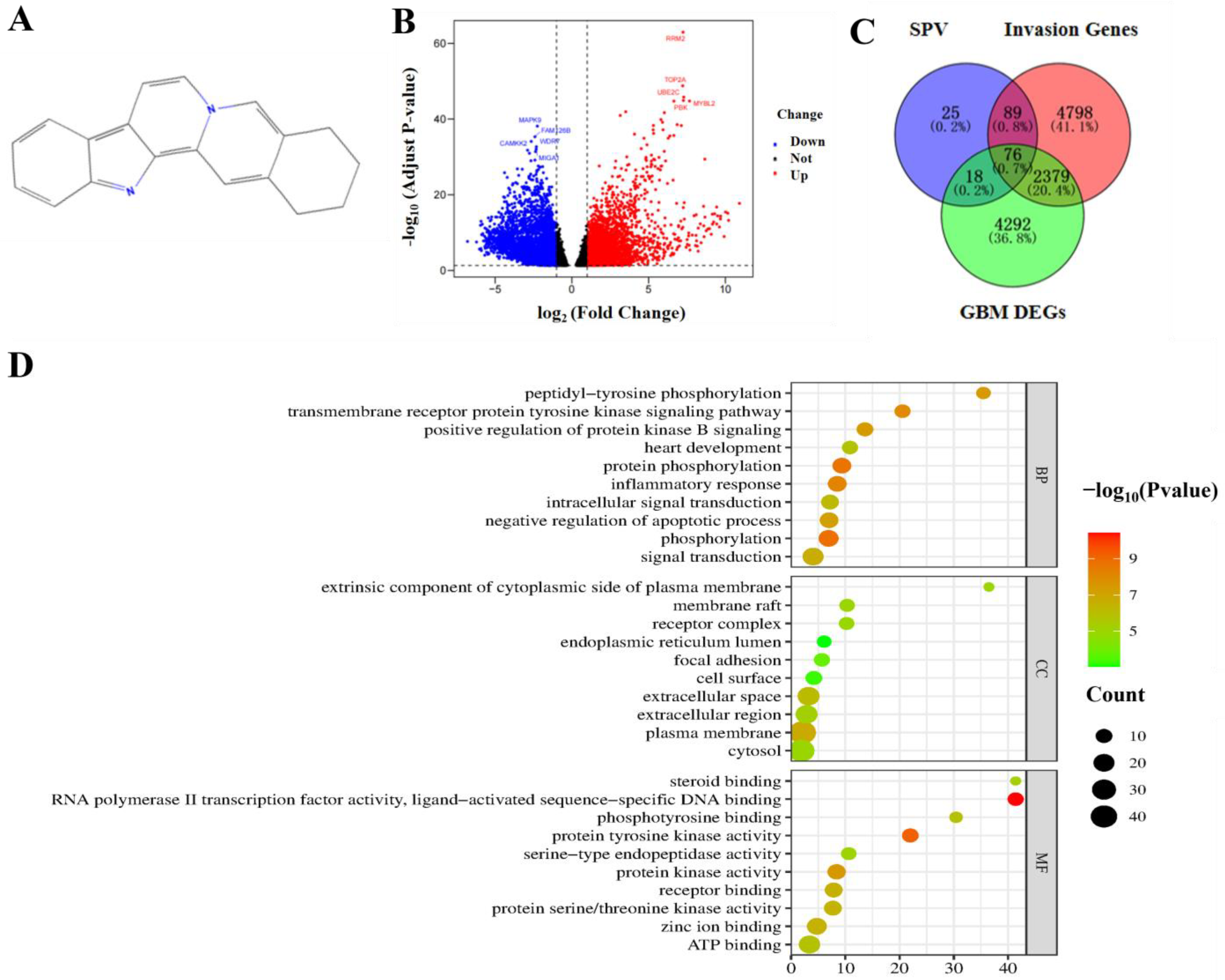 Pharmaceuticals 17 01318 g002a Pharmaceuticals 17 01318 g002a