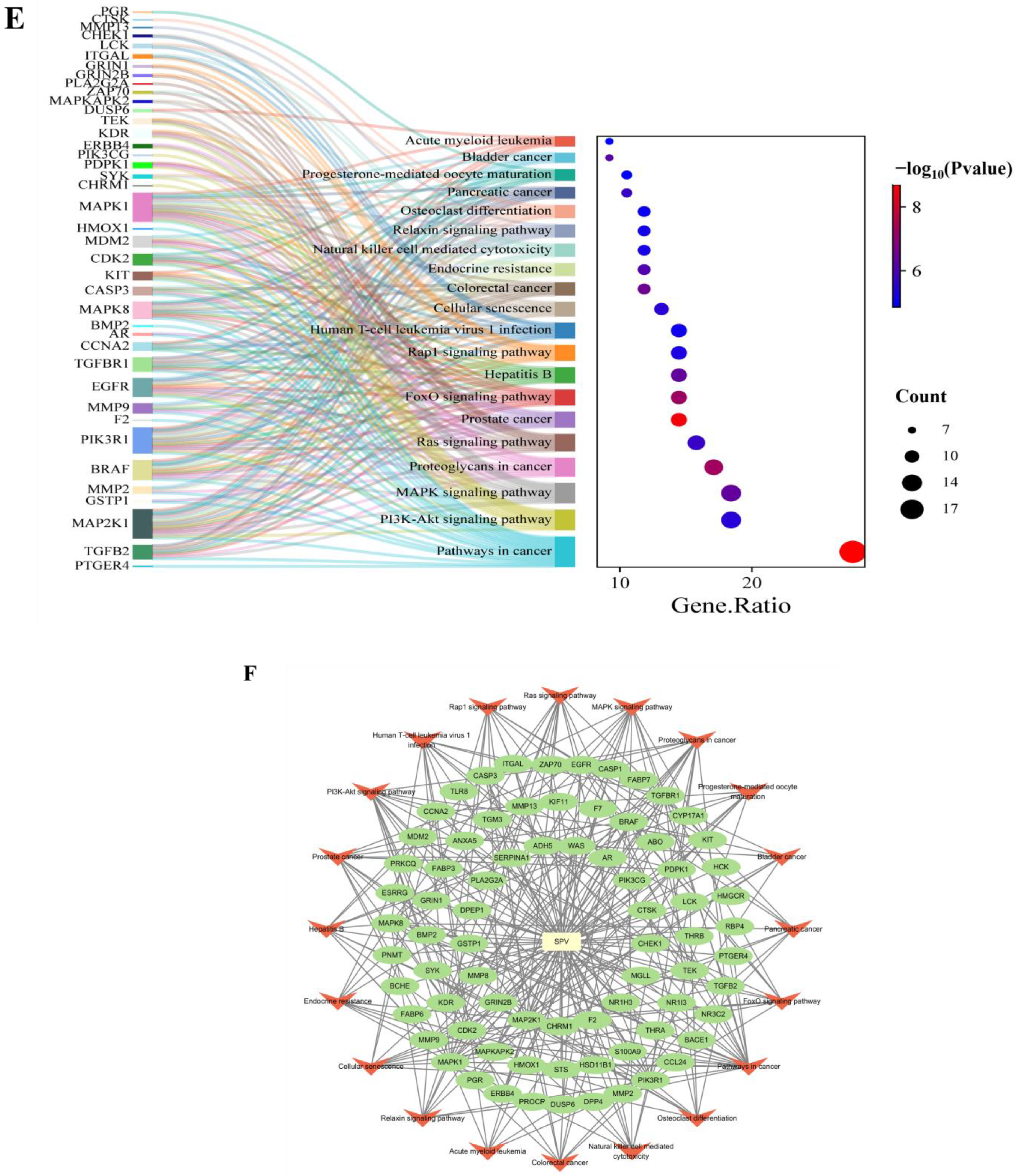 Pharmaceuticals 17 01318 g002b Pharmaceuticals 17 01318 g002b