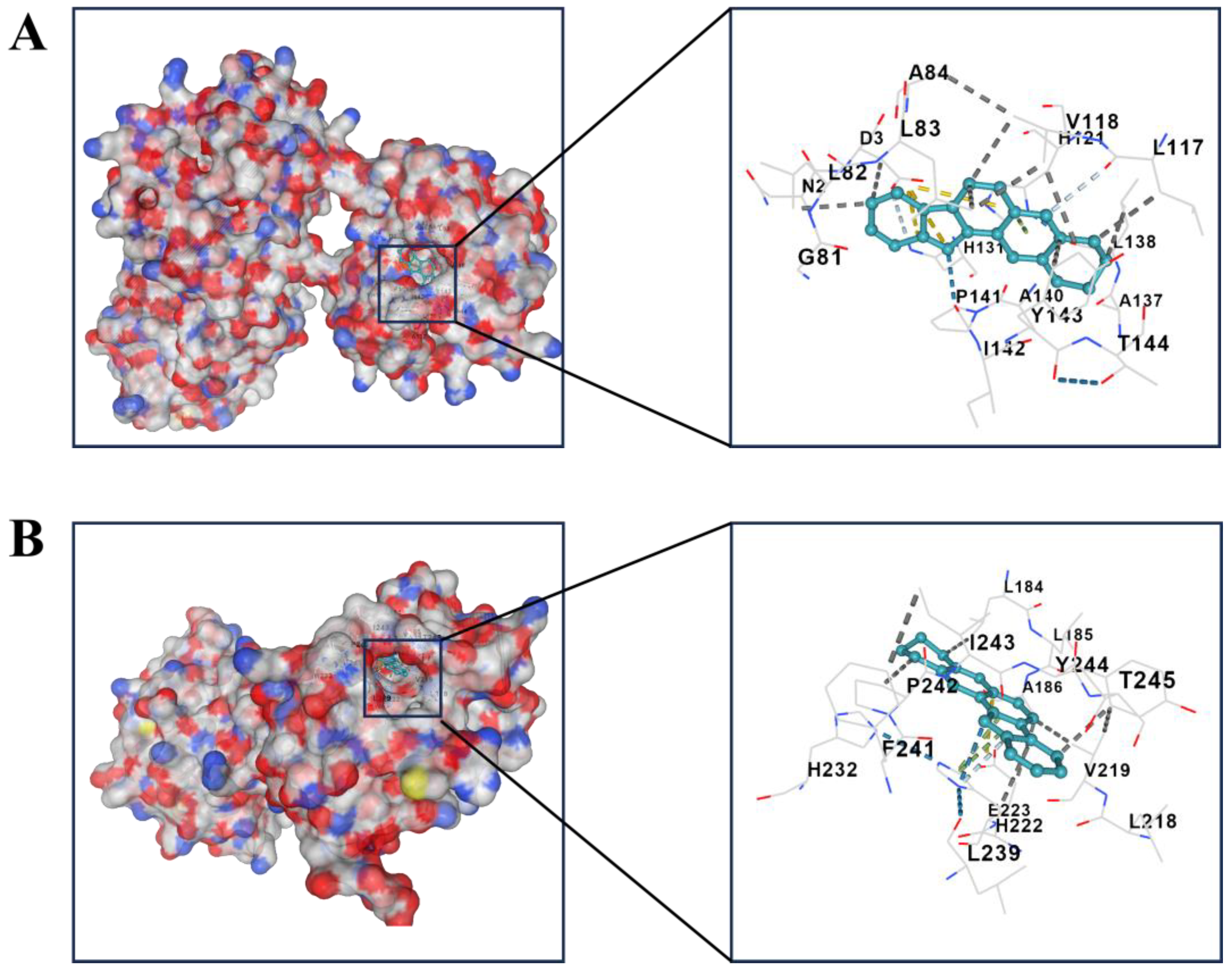 Pharmaceuticals 17 01318 g005a Pharmaceuticals 17 01318 g005a