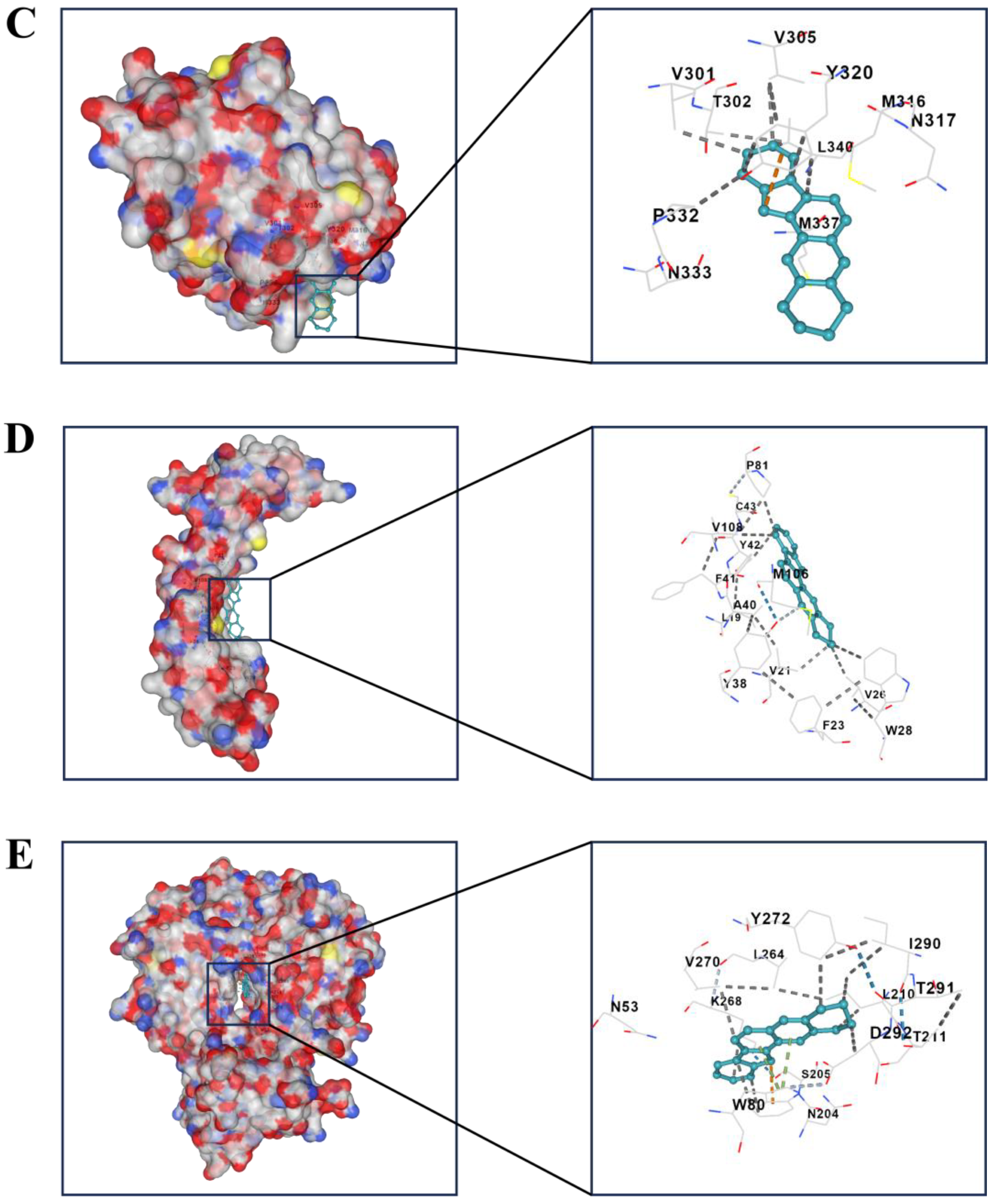 Pharmaceuticals 17 01318 g005b Pharmaceuticals 17 01318 g005b