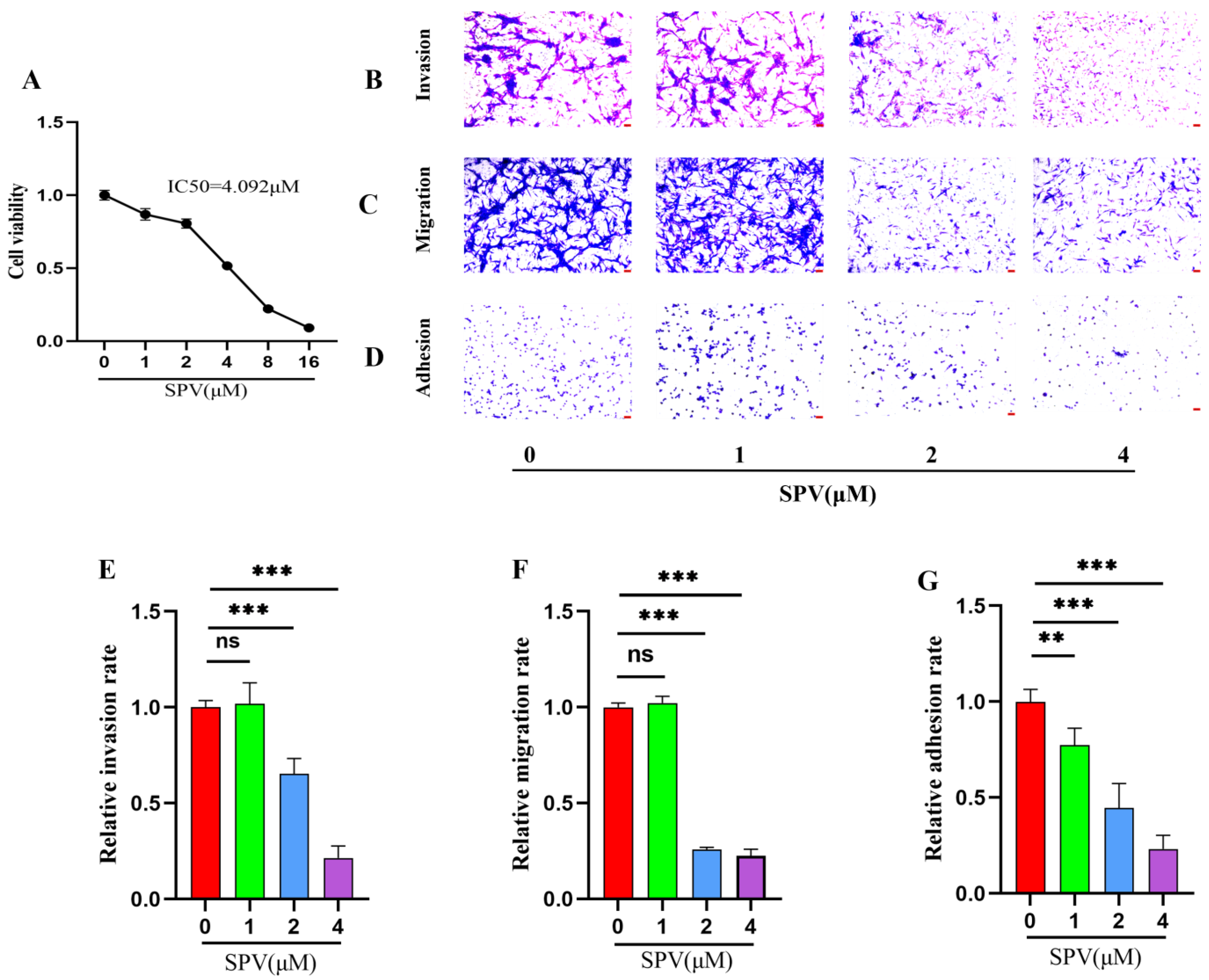 Pharmaceuticals 17 01318 g006 Pharmaceuticals 17 01318 g006