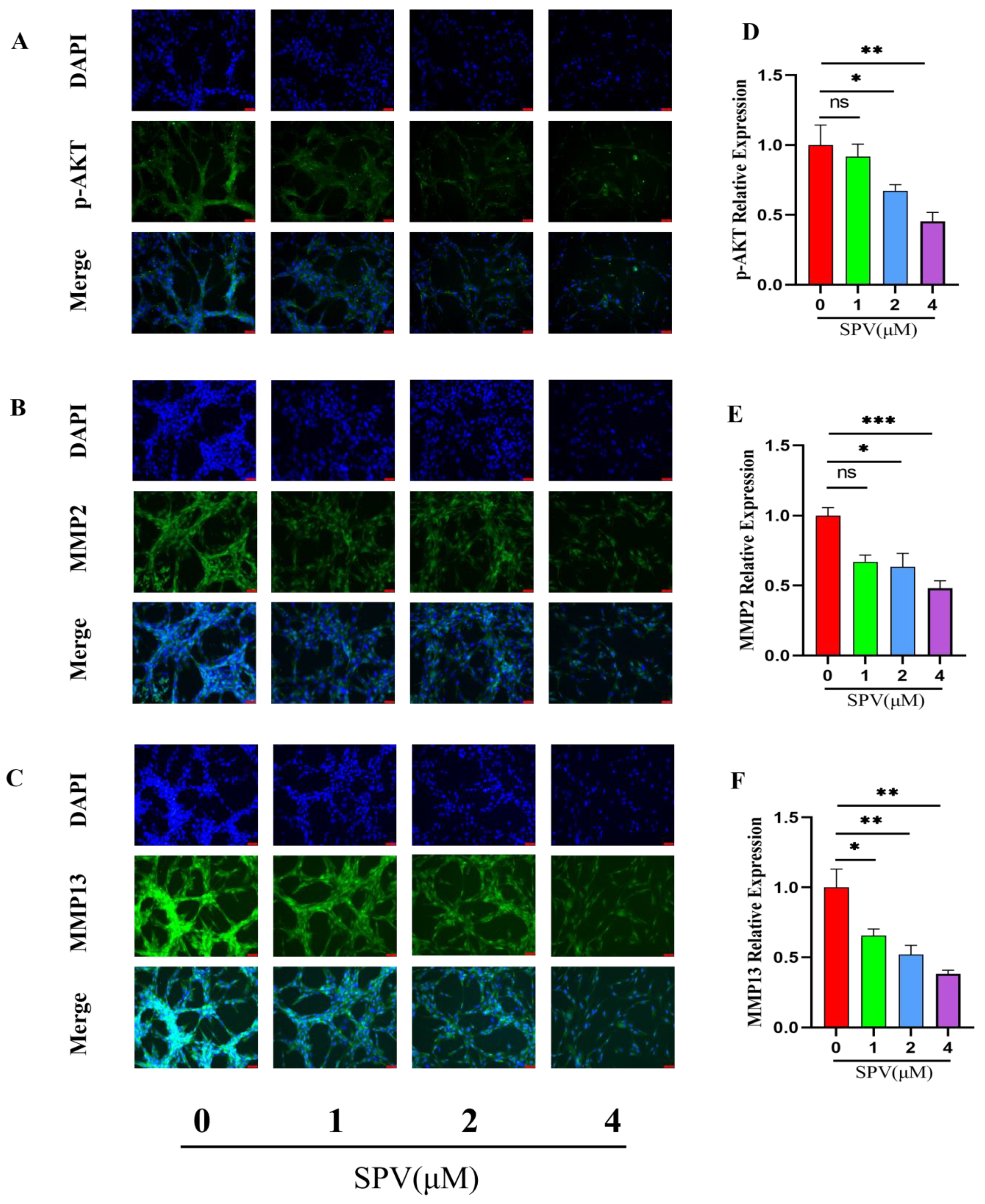 Pharmaceuticals 17 01318 g007a Pharmaceuticals 17 01318 g007a