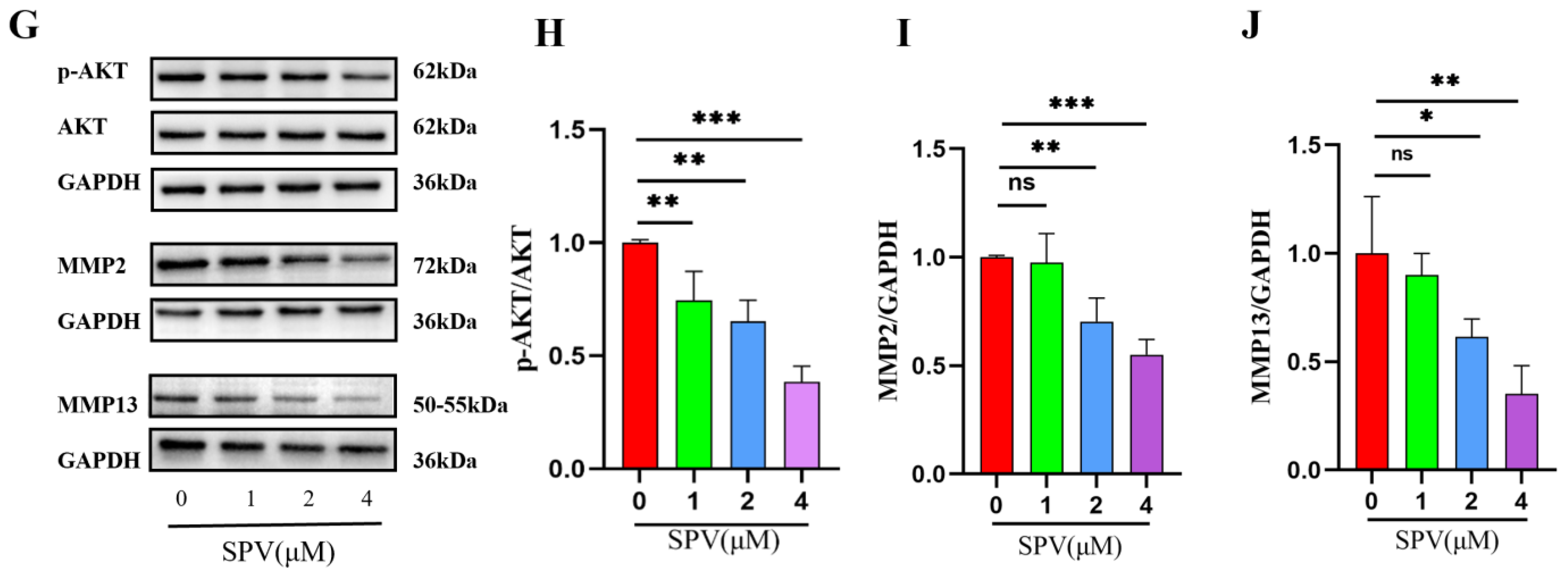Pharmaceuticals 17 01318 g007b Pharmaceuticals 17 01318 g007b