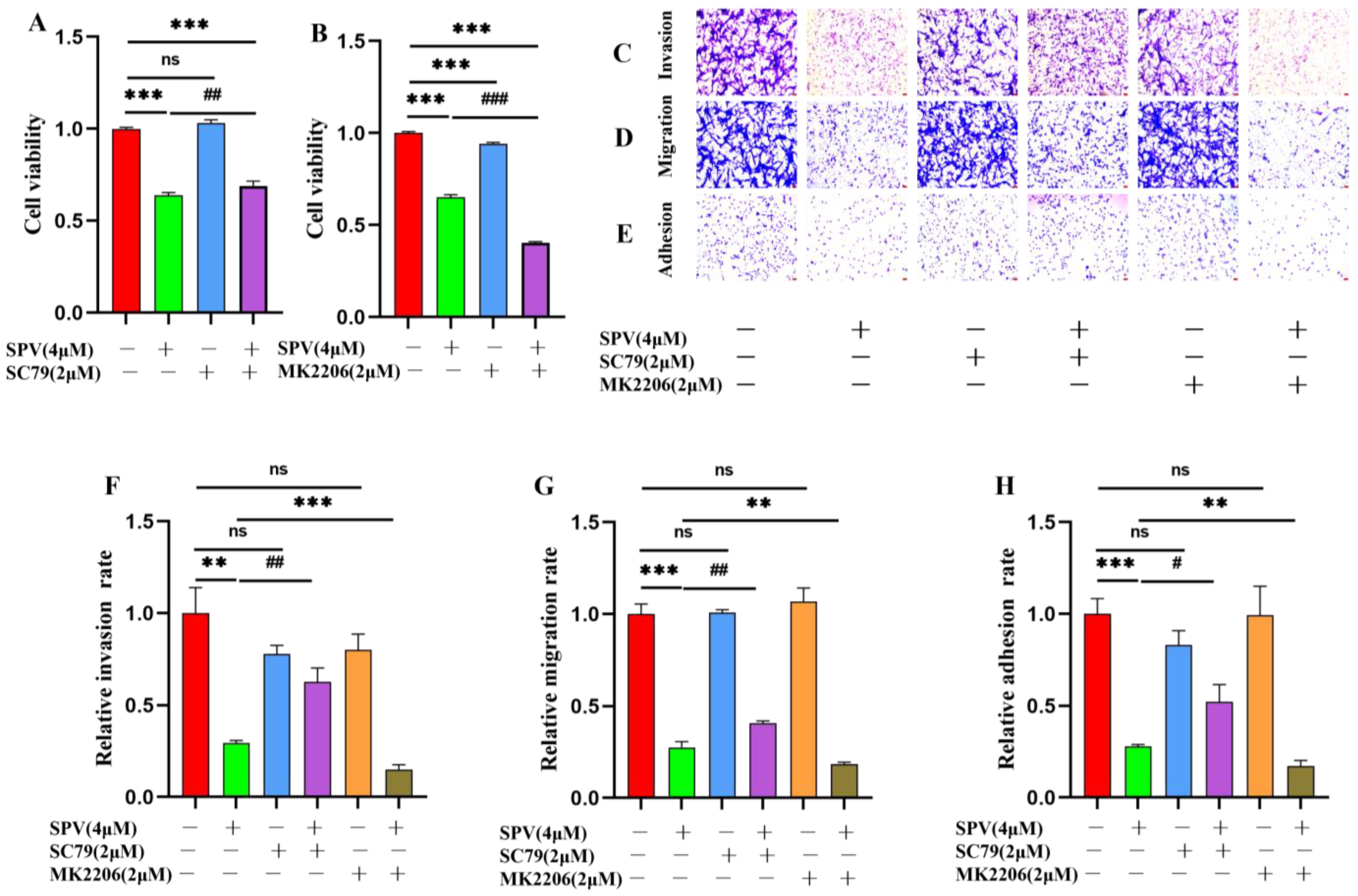 Pharmaceuticals 17 01318 g008 Pharmaceuticals 17 01318 g008