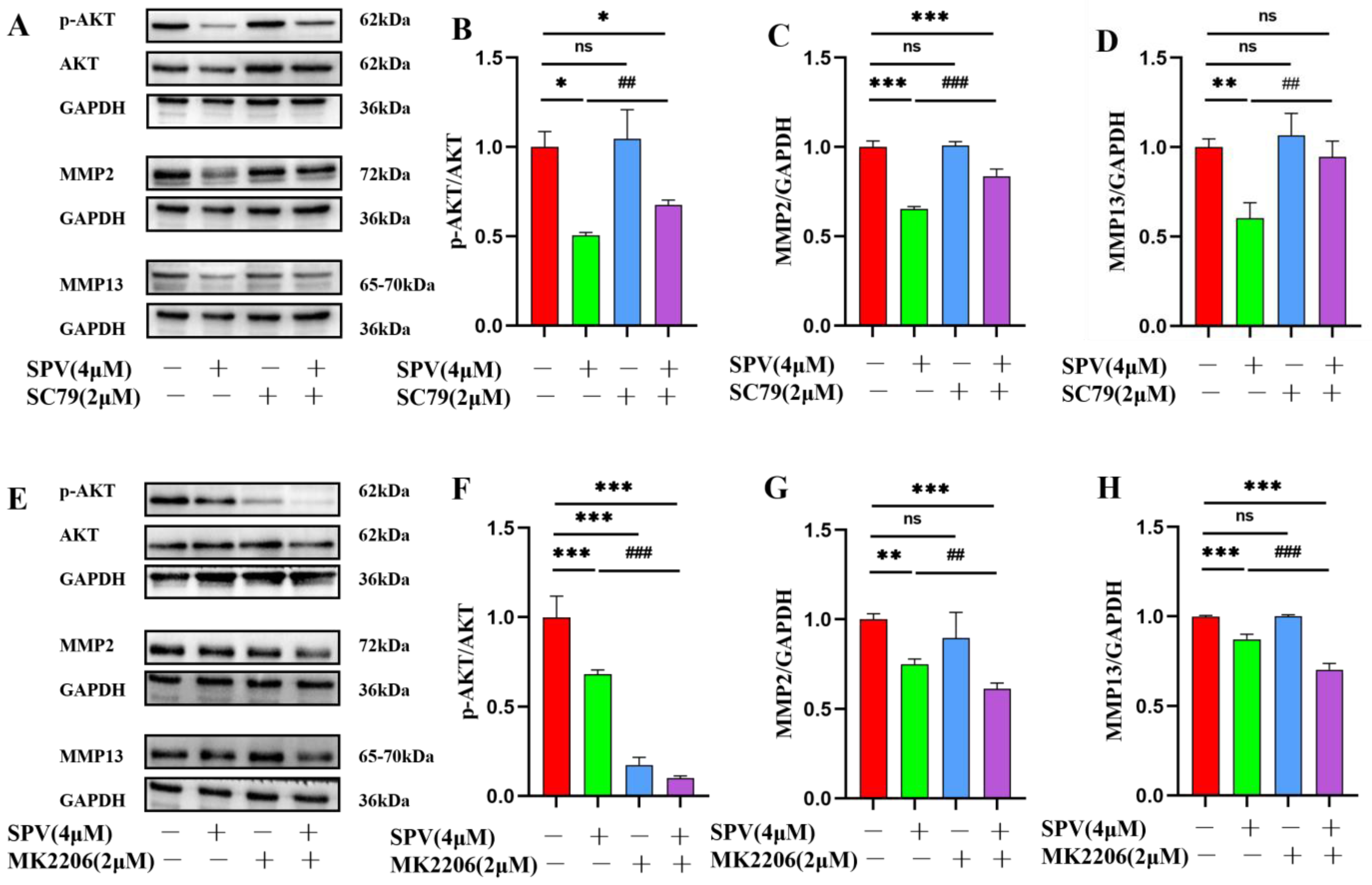 Pharmaceuticals 17 01318 g010 Pharmaceuticals 17 01318 g010