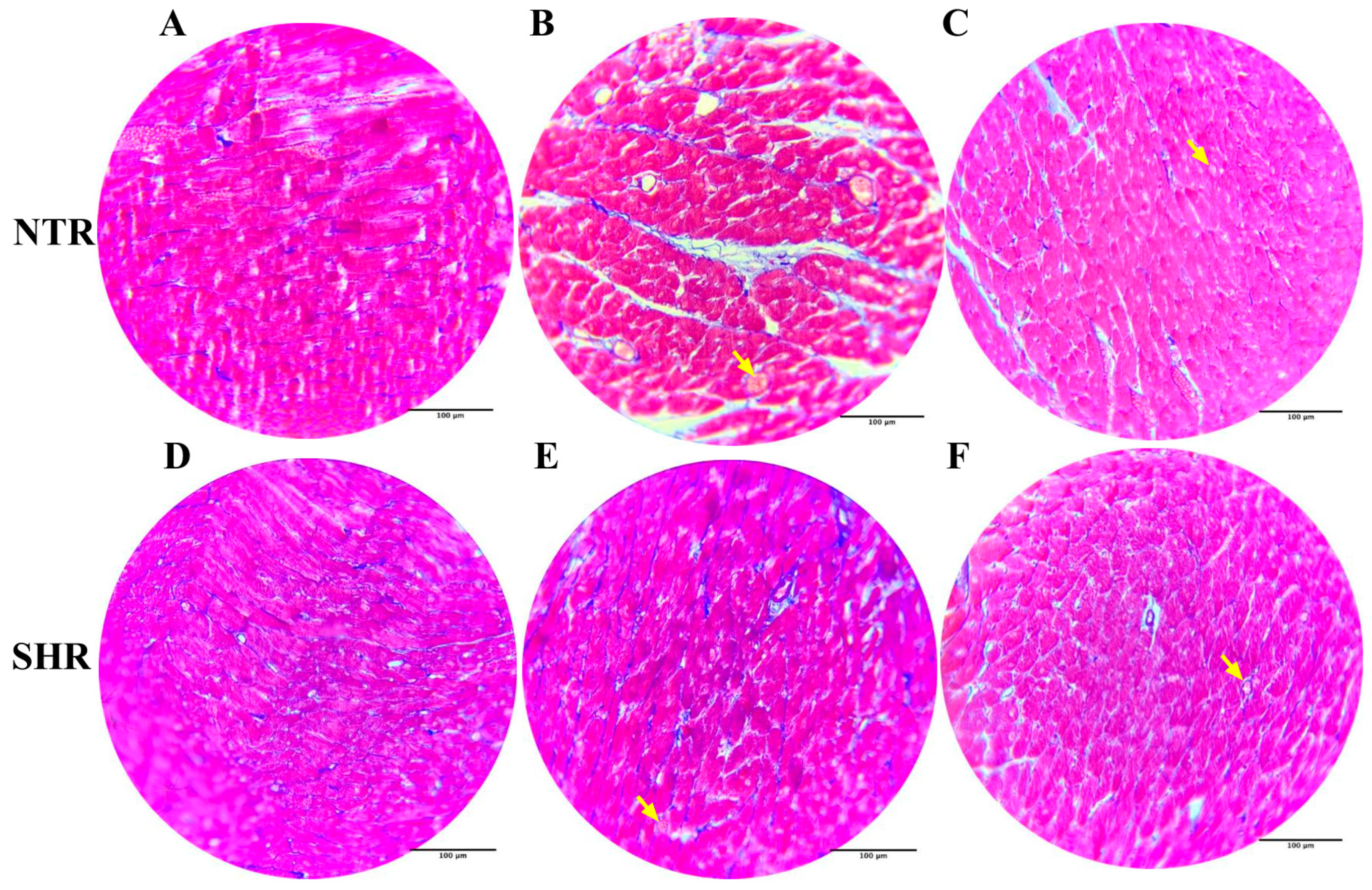 Pharmaceuticals 17 01324 g007
