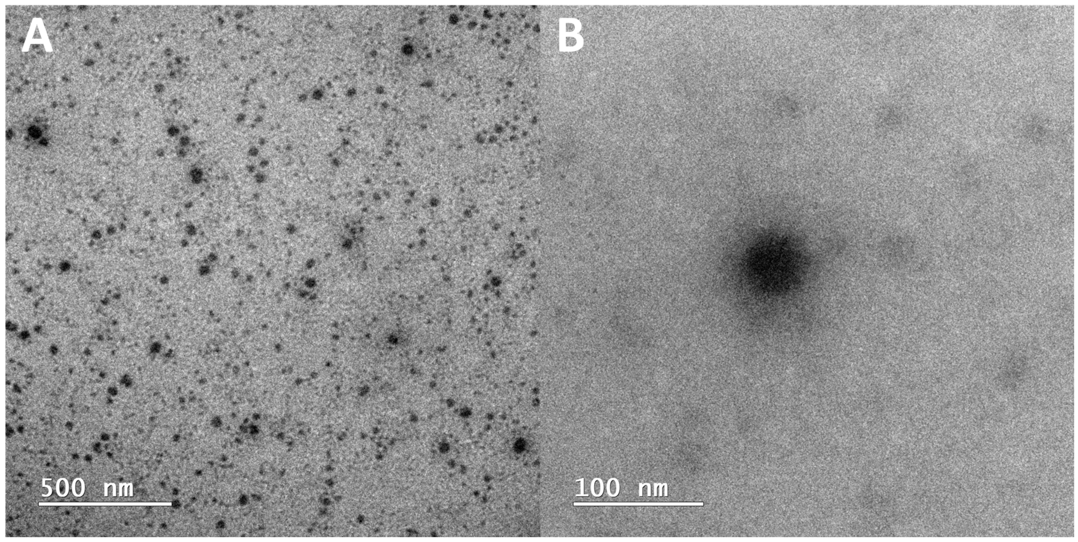 Pharmaceuticals 17 01325 g002 Pharmaceuticals 17 01325 g002