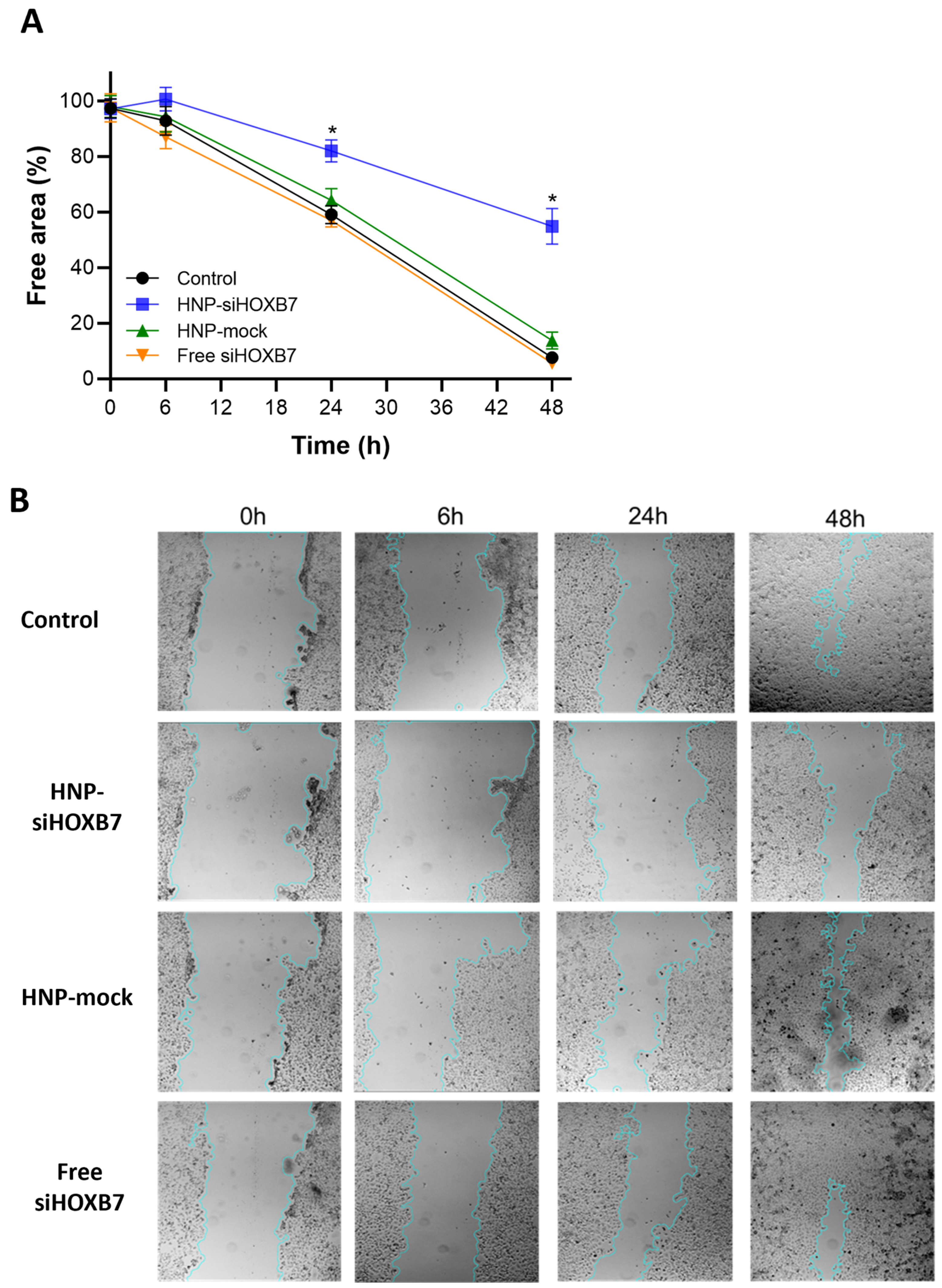 Pharmaceuticals 17 01325 g005 Pharmaceuticals 17 01325 g005