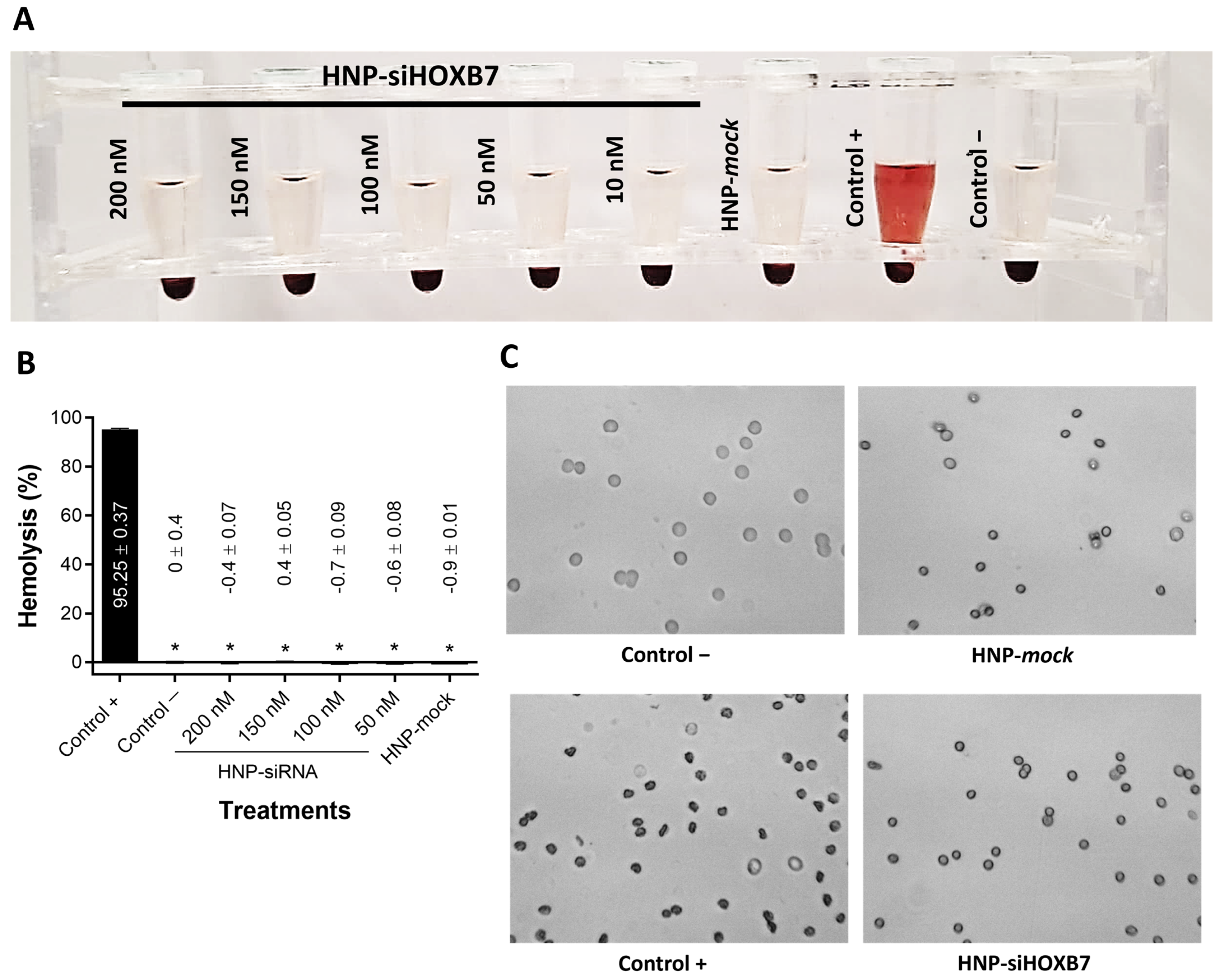 Pharmaceuticals 17 01325 g006 Pharmaceuticals 17 01325 g006