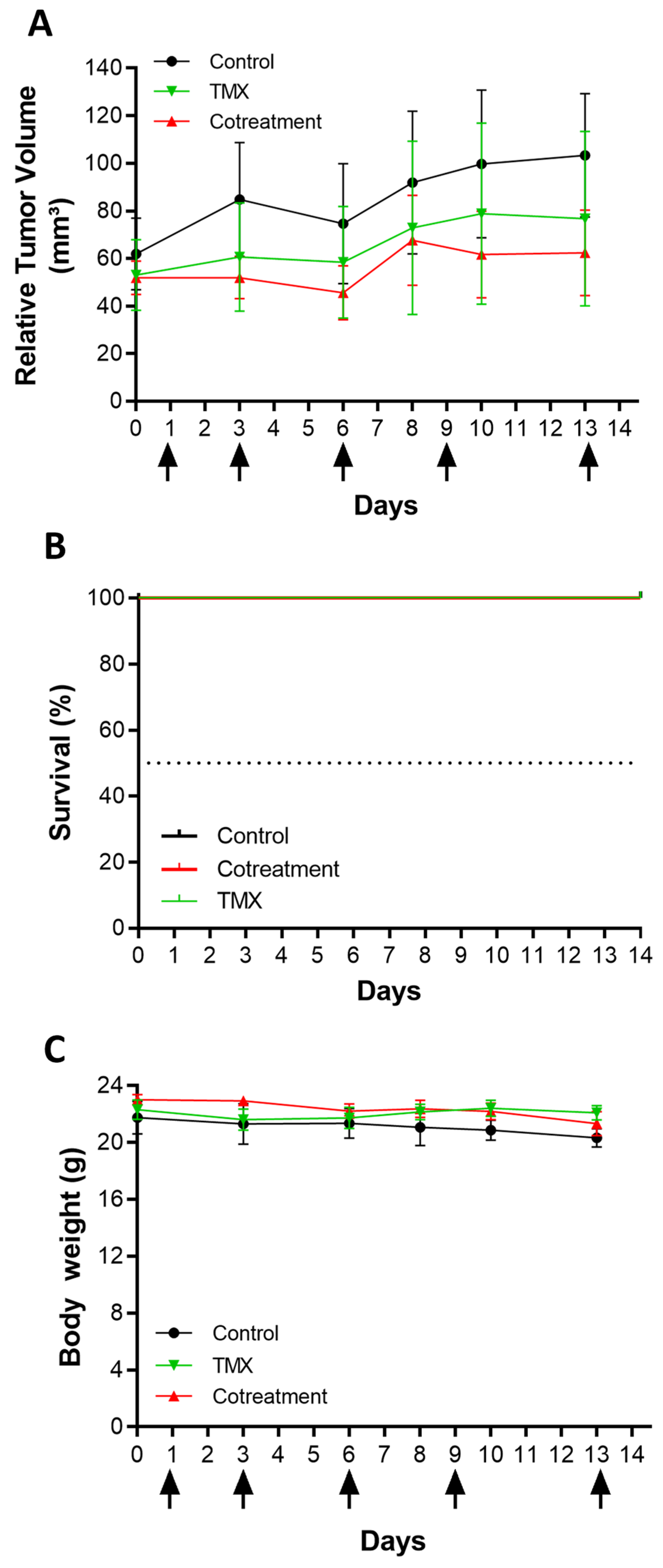 Pharmaceuticals 17 01325 g007 Pharmaceuticals 17 01325 g007