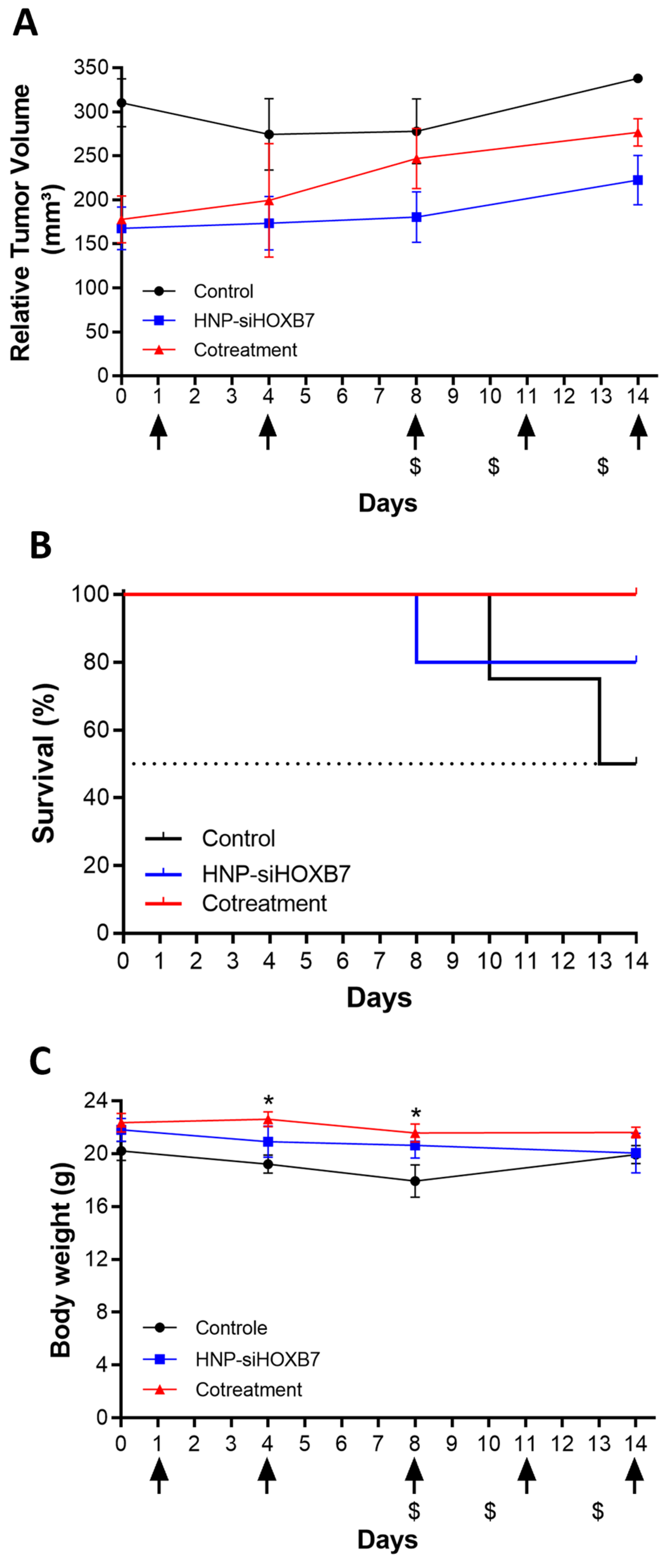 Pharmaceuticals 17 01325 g008 Pharmaceuticals 17 01325 g008