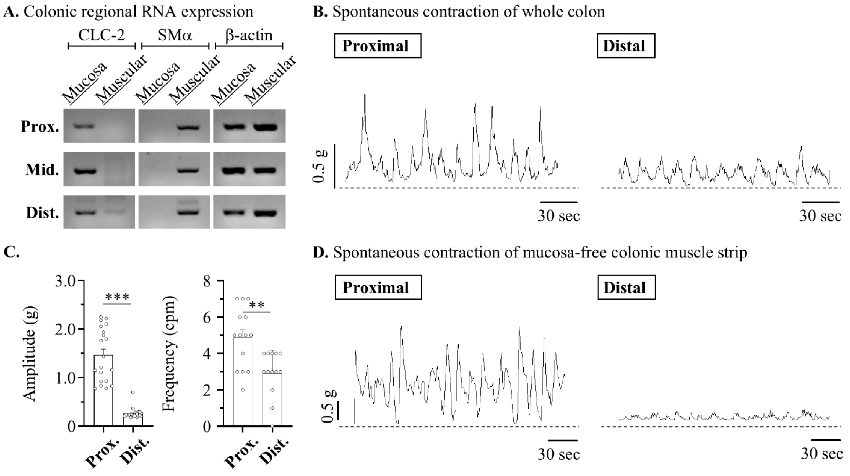 Pharmaceuticals 17 01327 g001