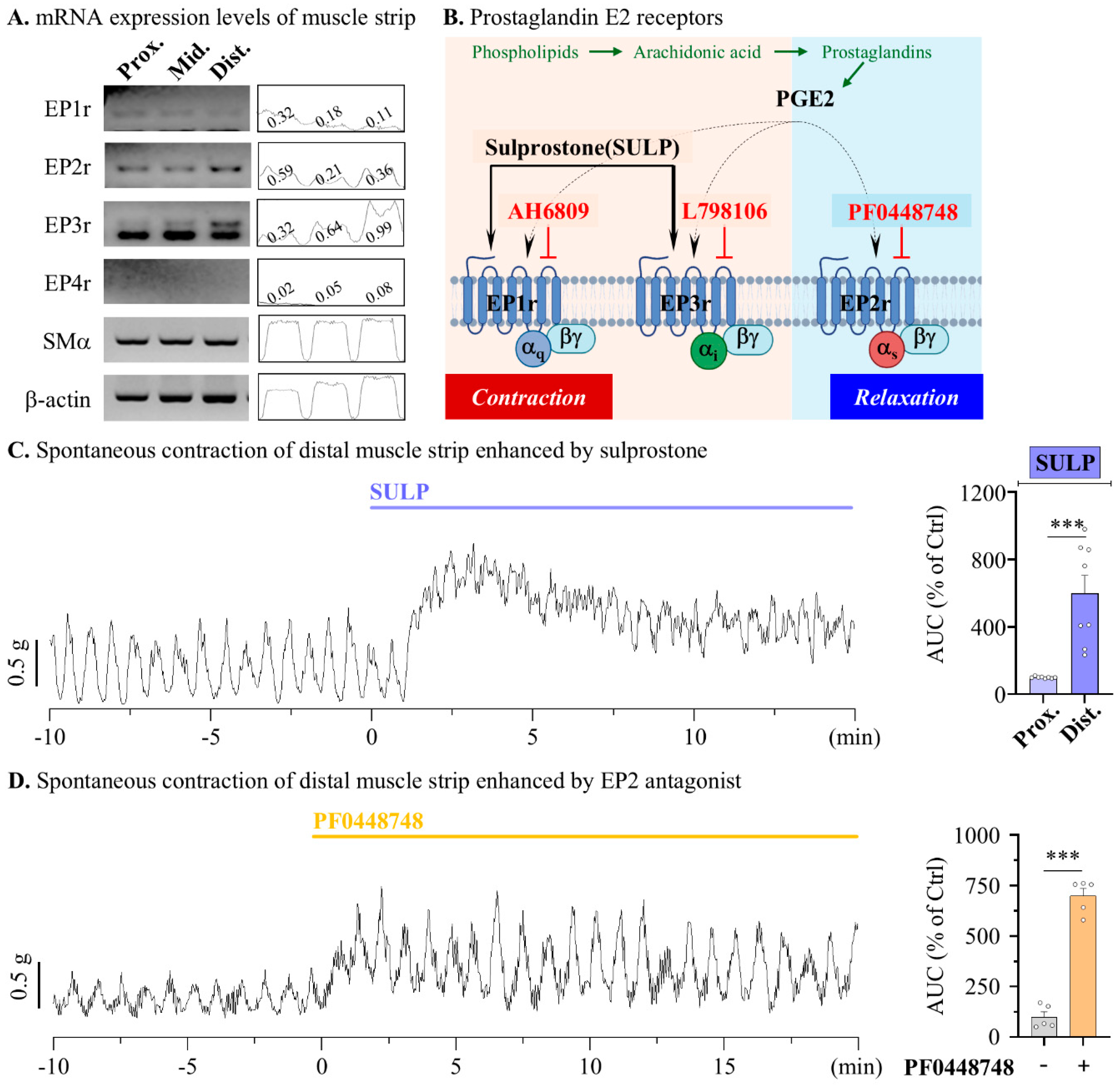 Pharmaceuticals 17 01327 g003