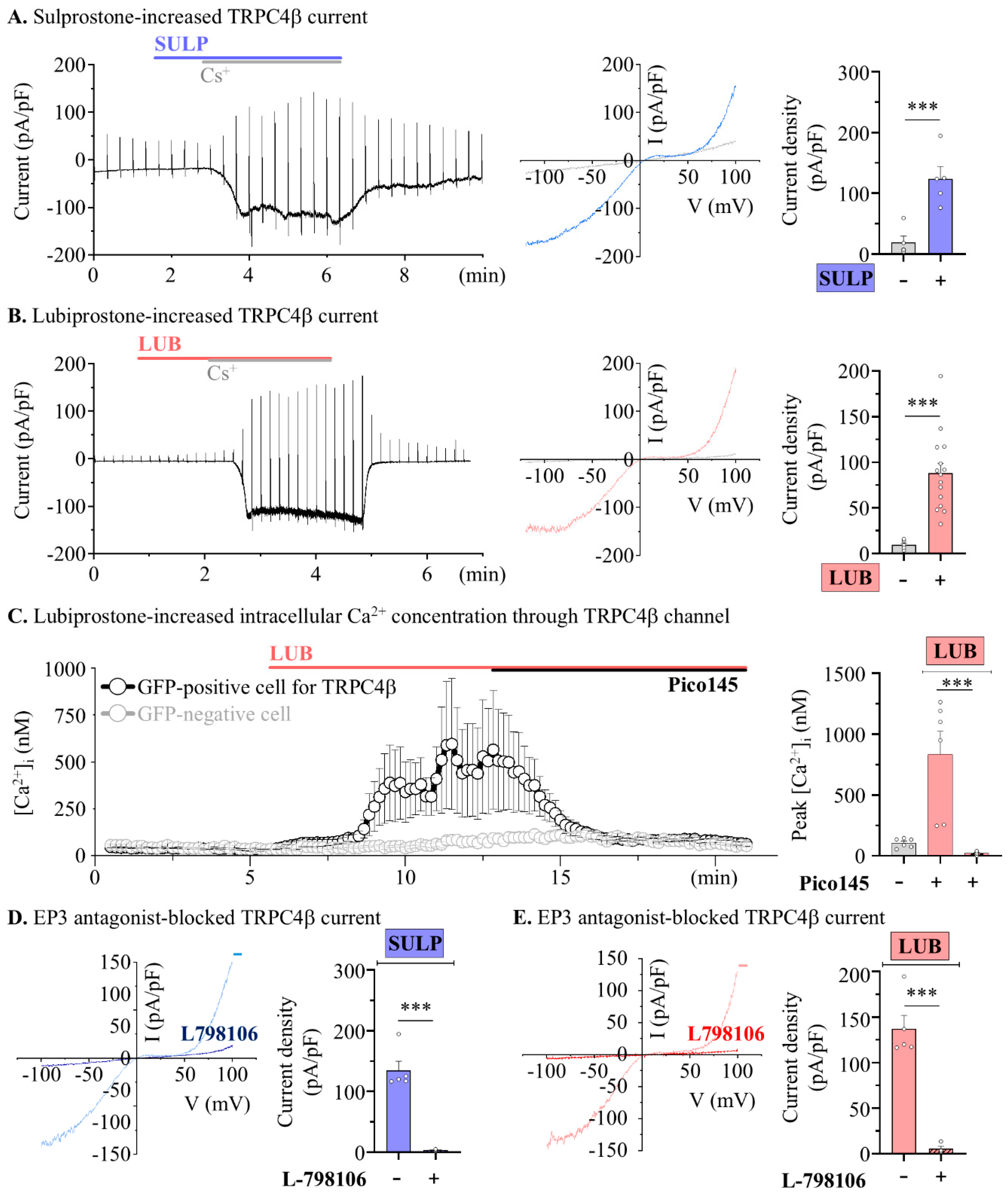 Pharmaceuticals 17 01327 g005