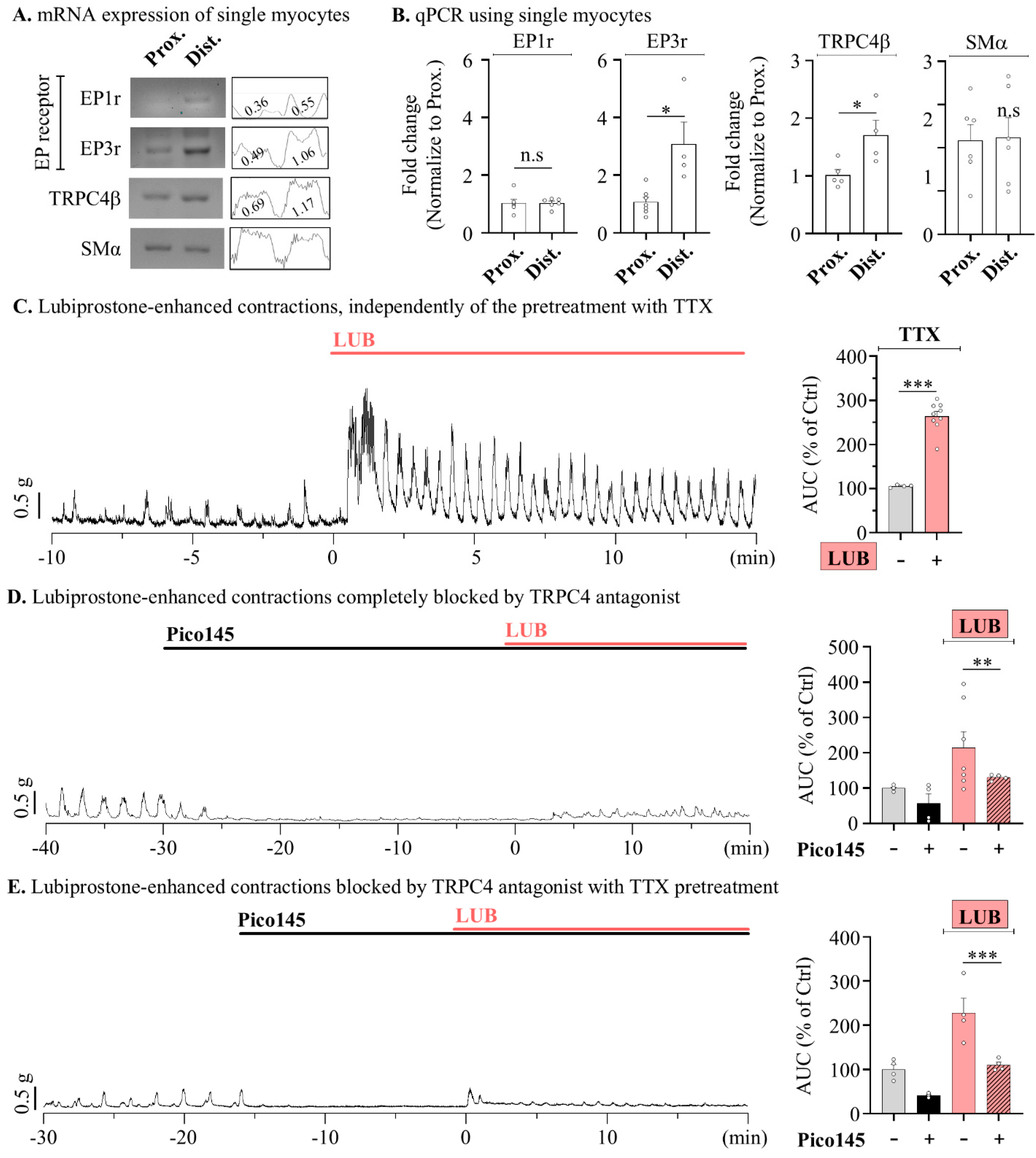 Pharmaceuticals 17 01327 g006