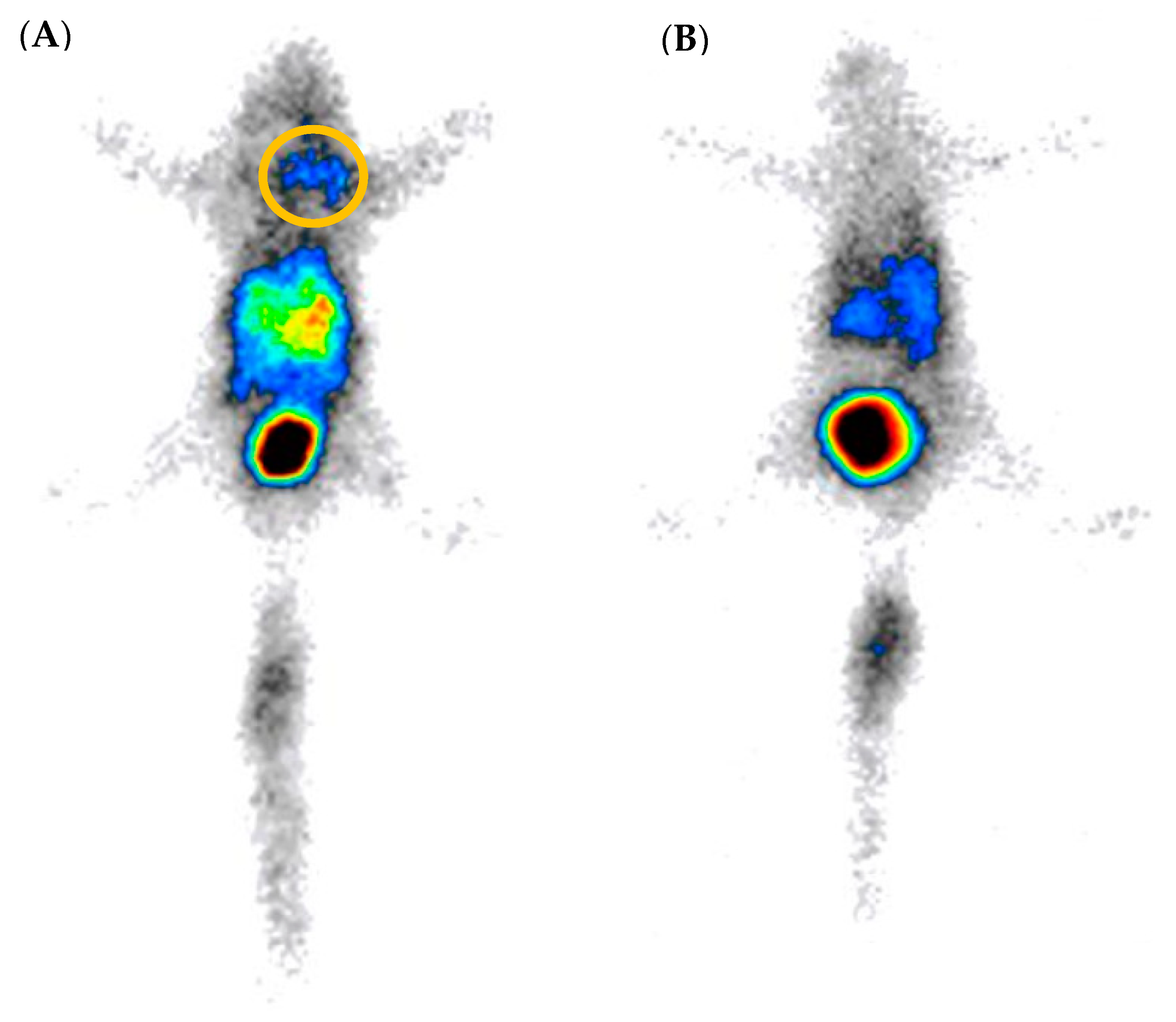 Pharmaceuticals 17 01328 g008