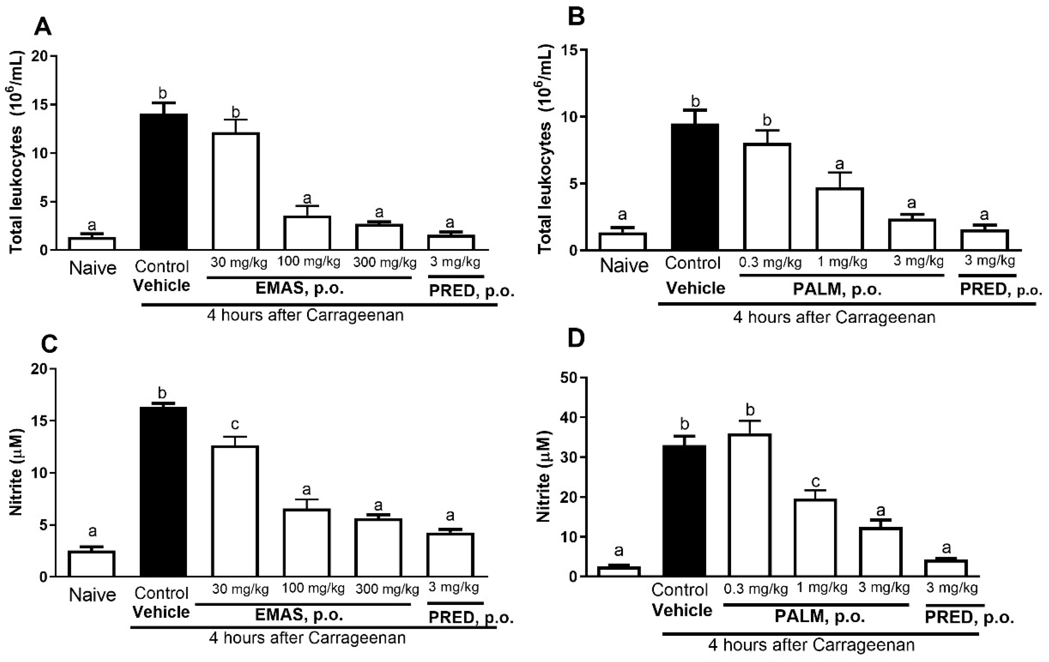 Pharmaceuticals 17 01331 g002
