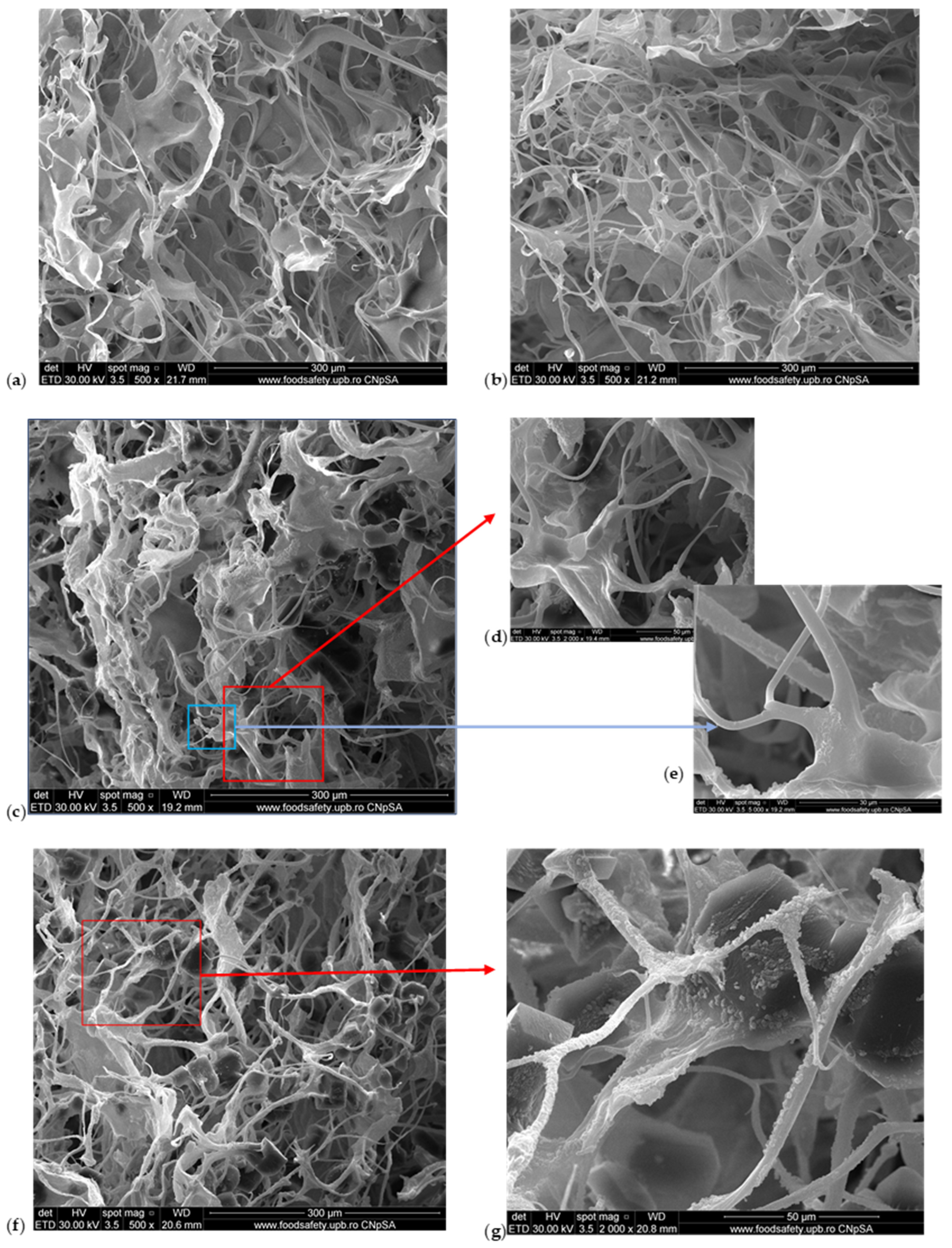 Pharmaceuticals 17 01336 g002a