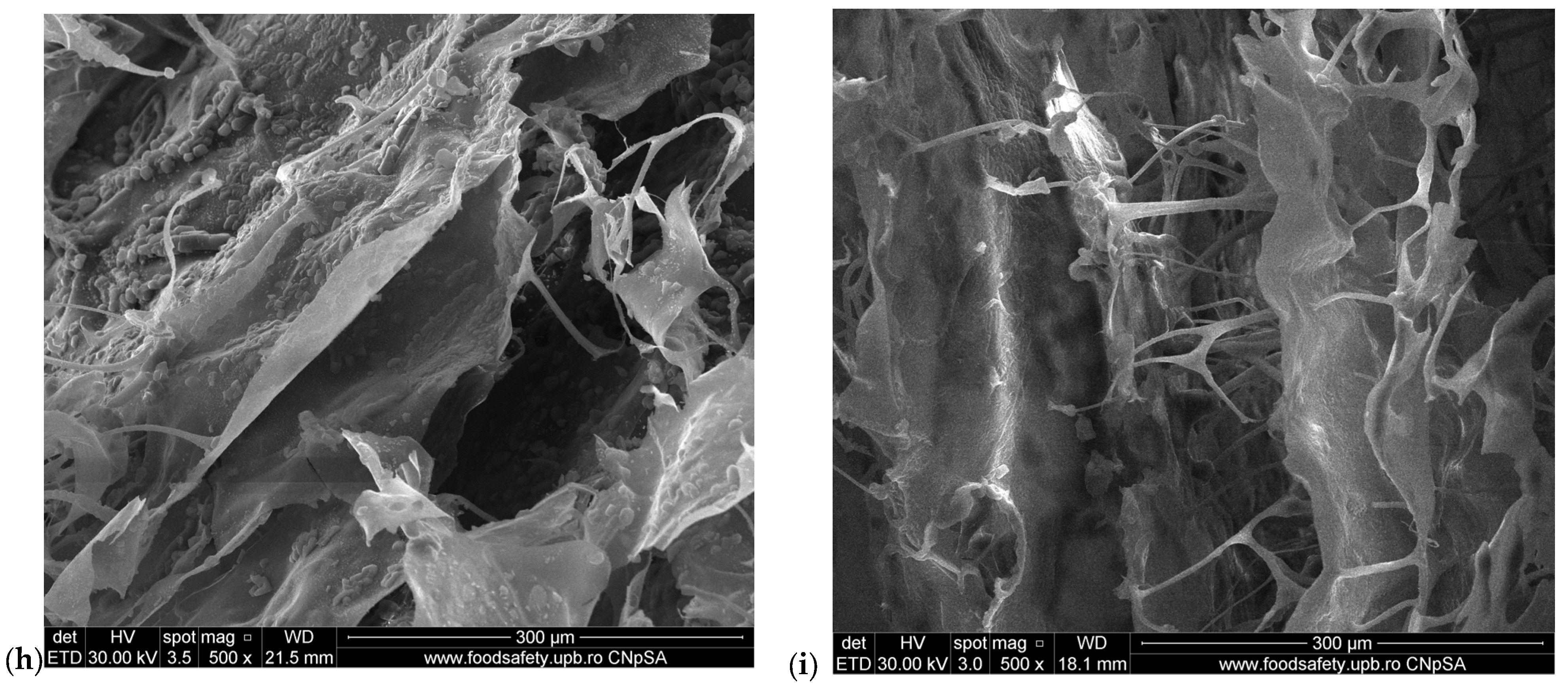 Pharmaceuticals 17 01336 g002b