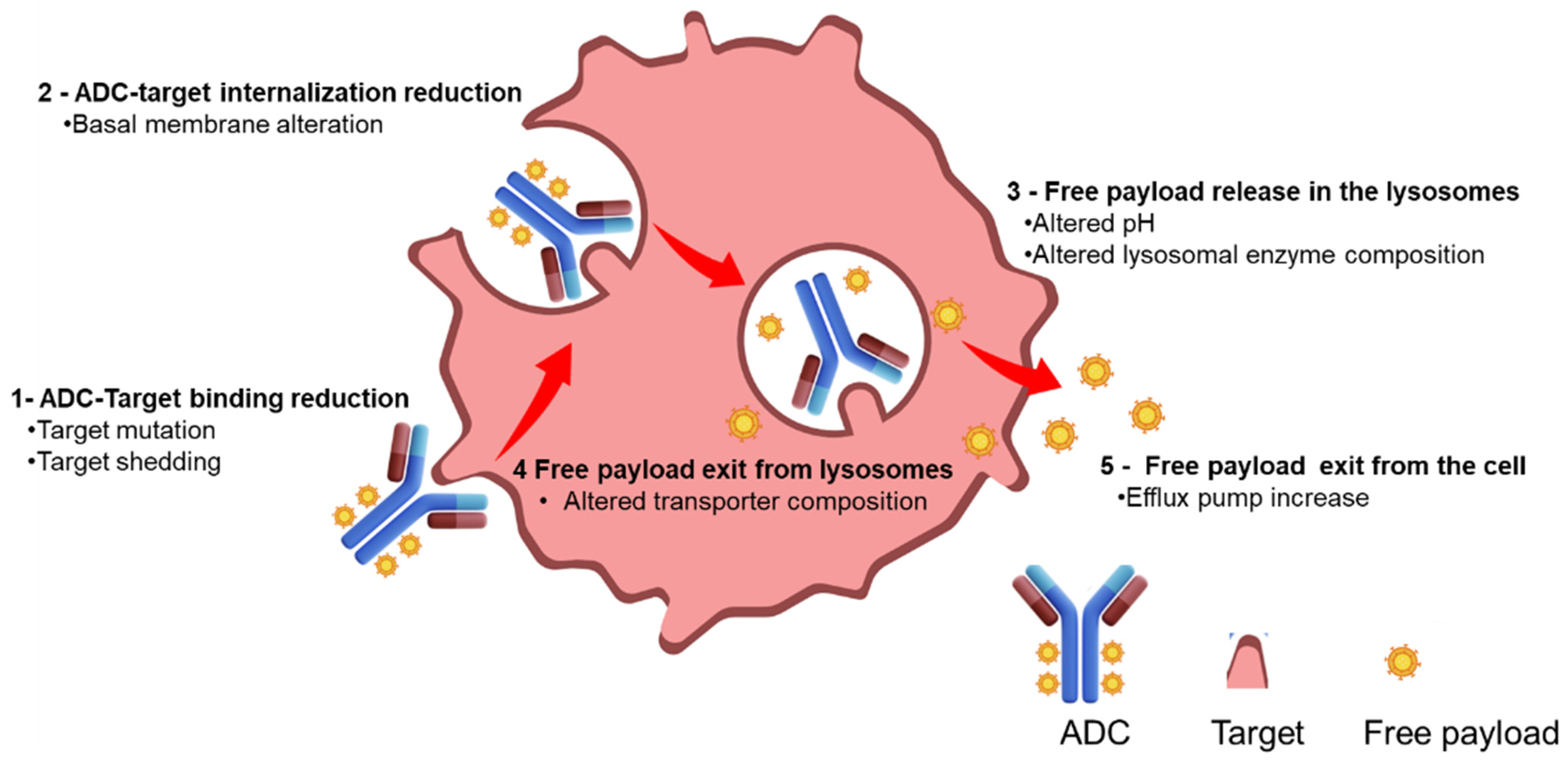 Pharmaceuticals 17 01338 g002