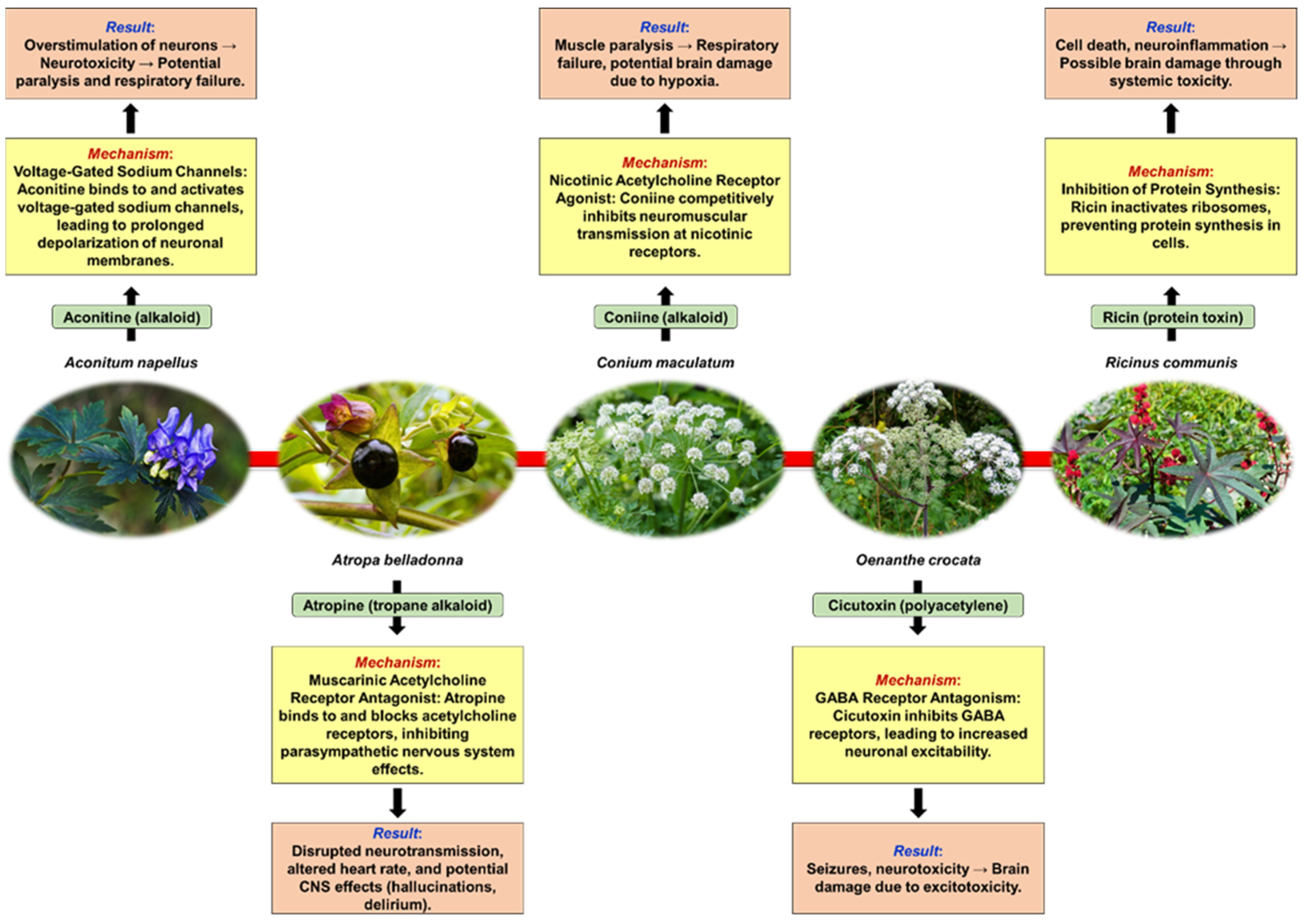 Pharmaceuticals 17 01339 g001 Pharmaceuticals 17 01339 g001