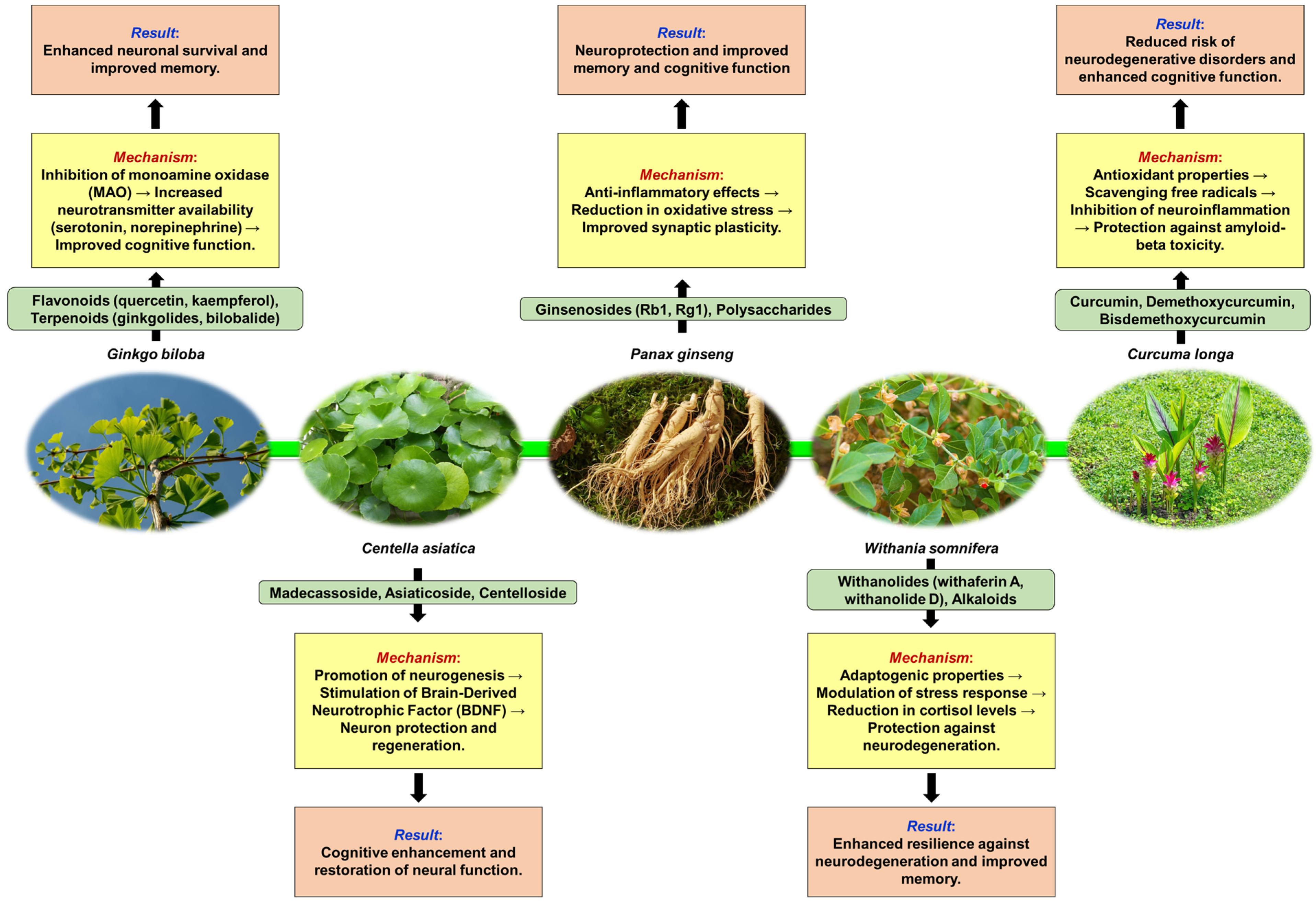 Pharmaceuticals 17 01339 g002 Pharmaceuticals 17 01339 g002