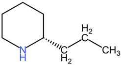 Pharmaceuticals 17 01339 i010 Pharmaceuticals 17 01339 i010