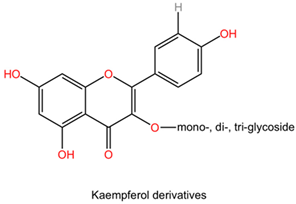 Pharmaceuticals 17 01339 i015 Pharmaceuticals 17 01339 i015