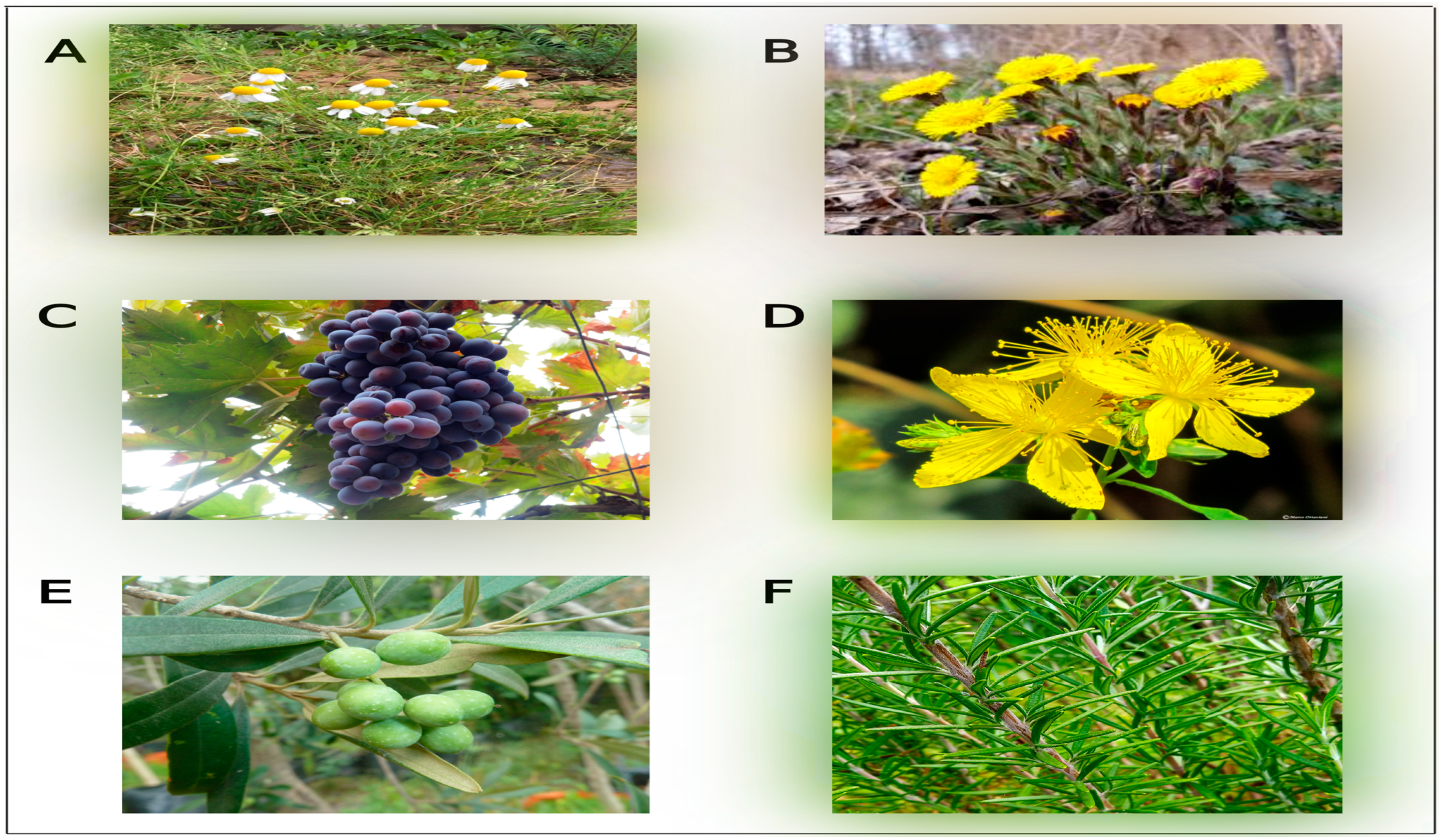 Pharmaceuticals 17 01341 g001 Pharmaceuticals 17 01341 g001