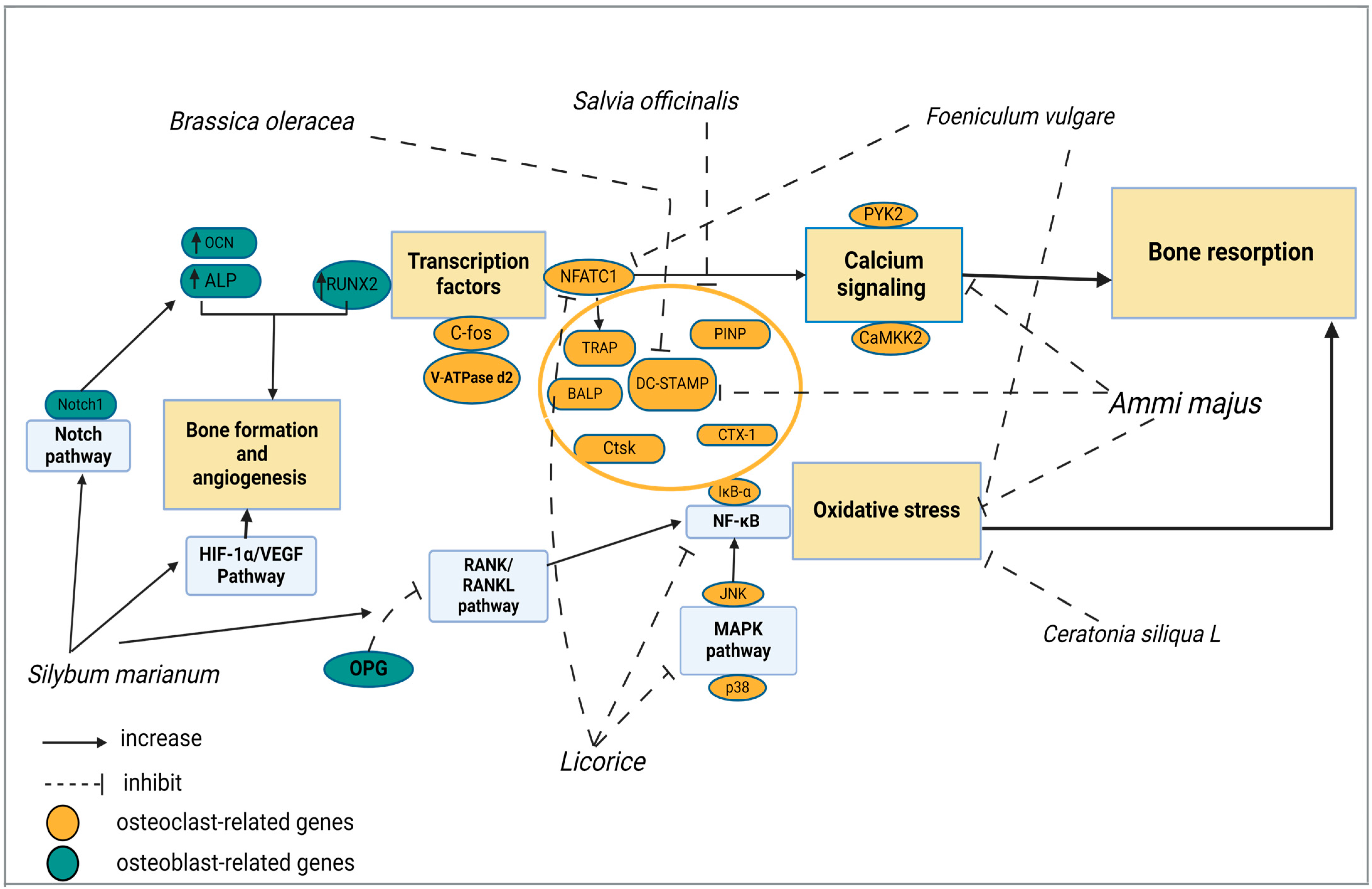 Pharmaceuticals 17 01341 g003 Pharmaceuticals 17 01341 g003