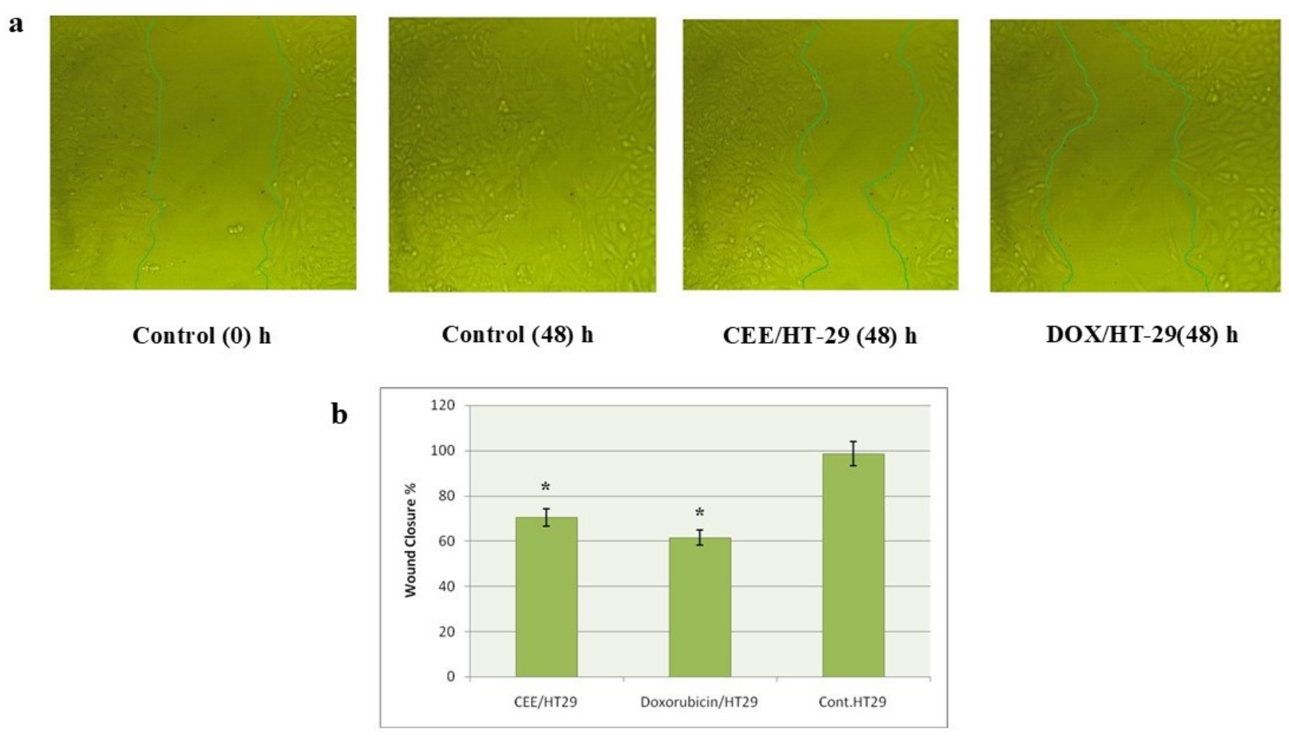 Pharmaceuticals 17 01347 g003