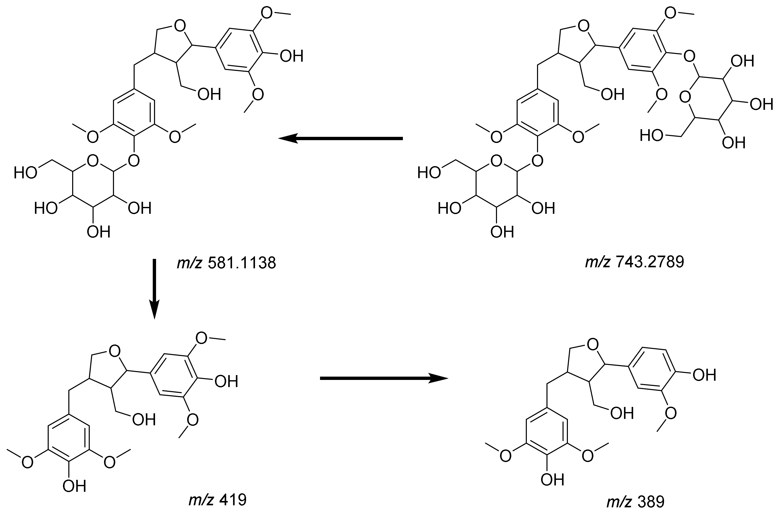 Pharmaceuticals 17 01347 g008