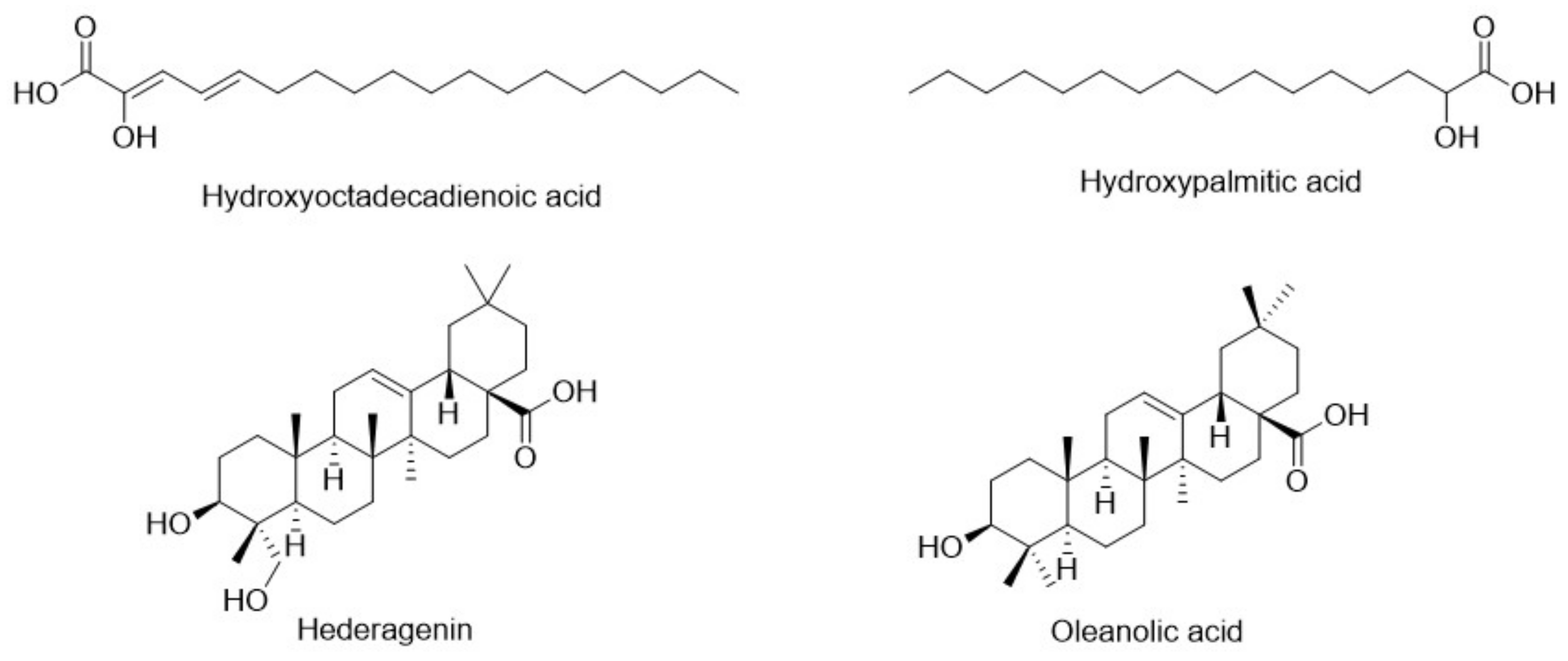 Pharmaceuticals 17 01347 g010