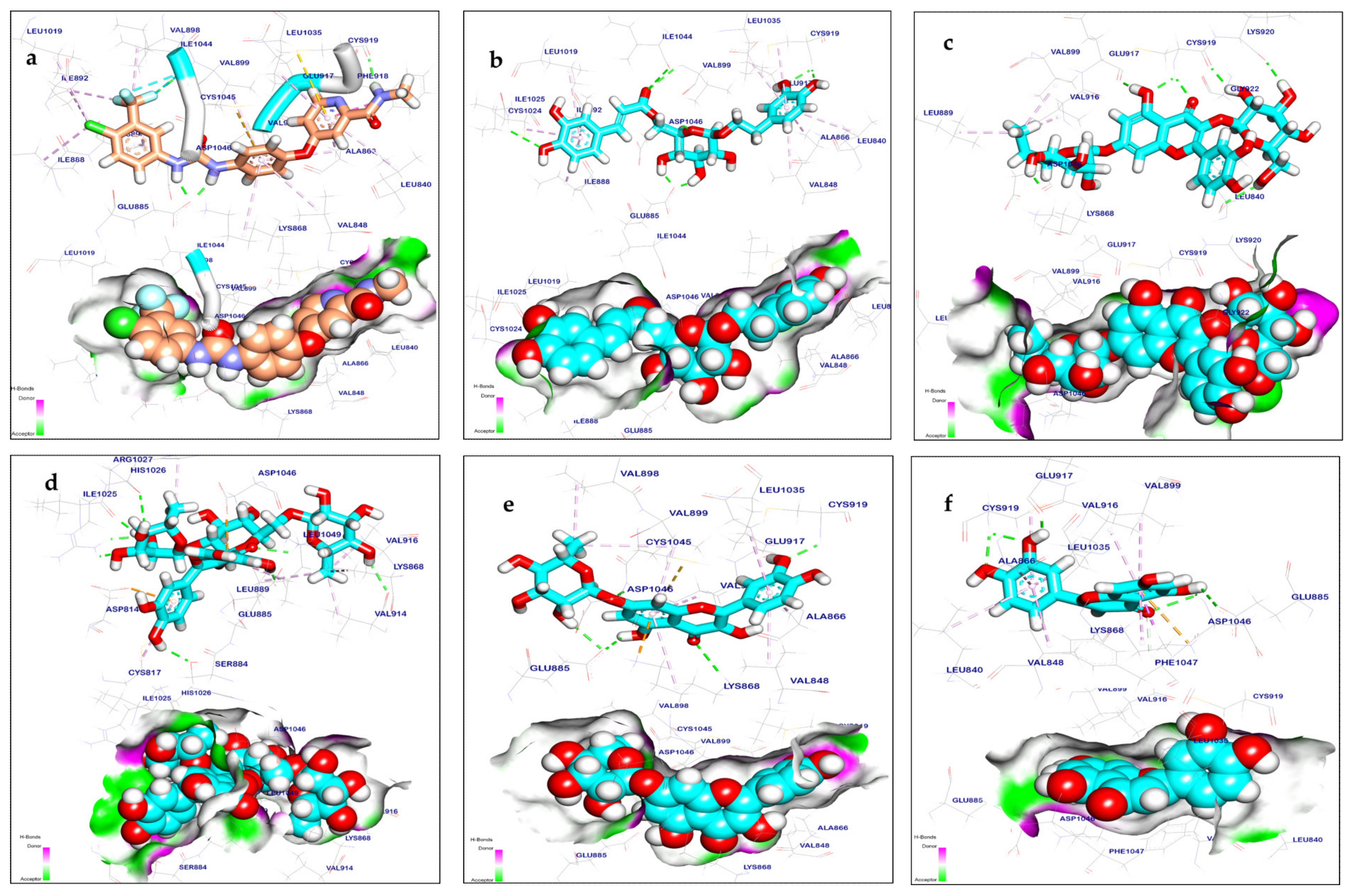 Pharmaceuticals 17 01347 g011