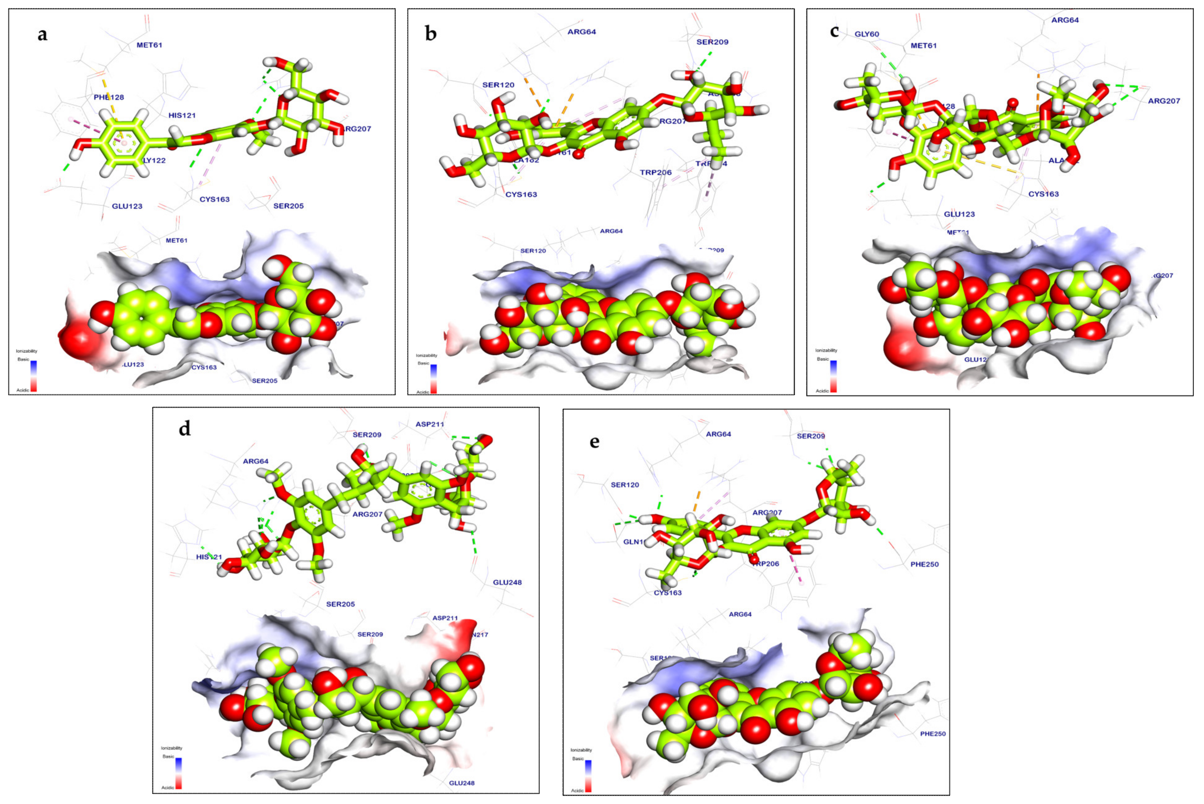 Pharmaceuticals 17 01347 g012